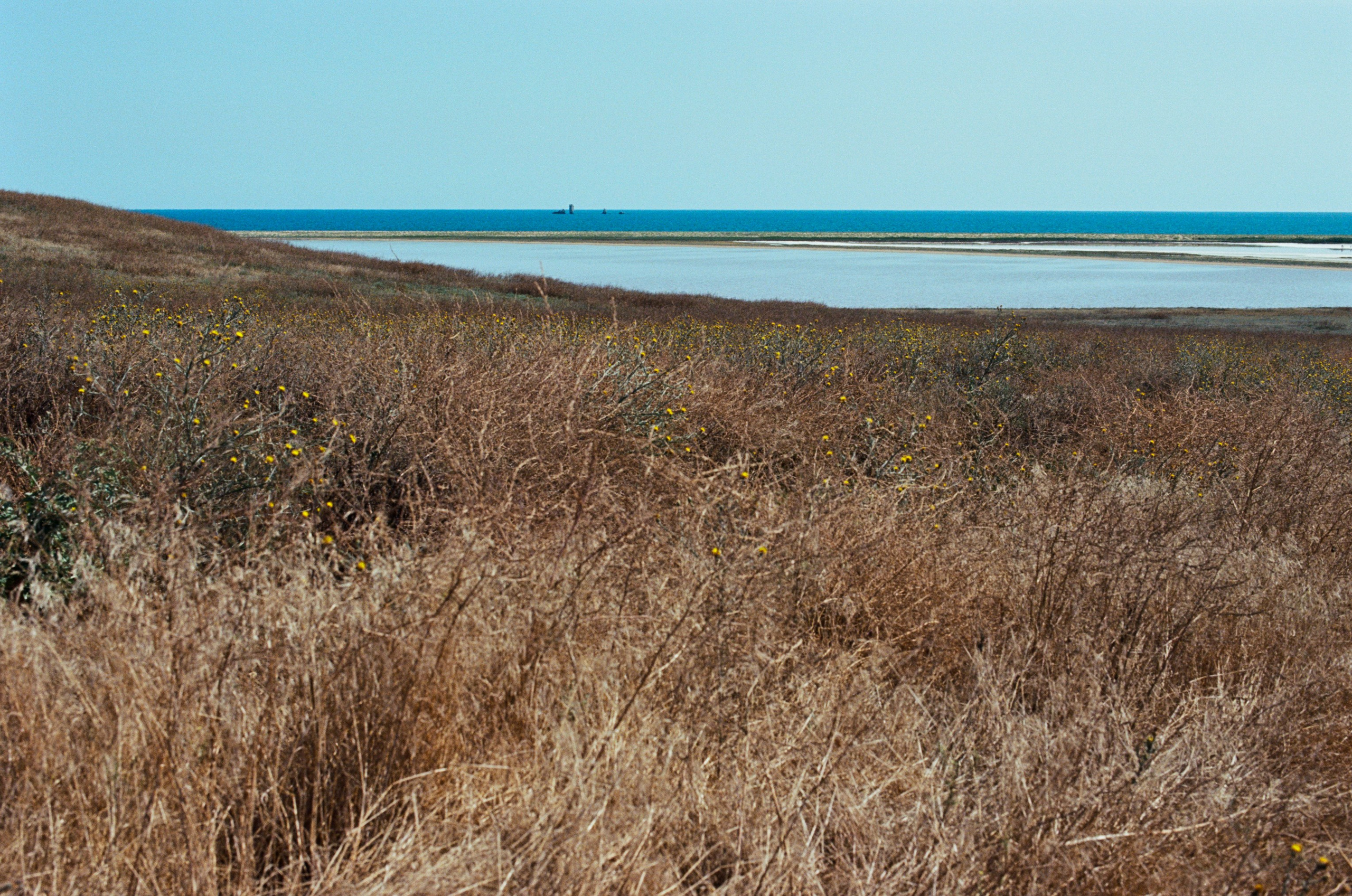 Dig it // ukraine, crimea VIII. EVER EXPOSED