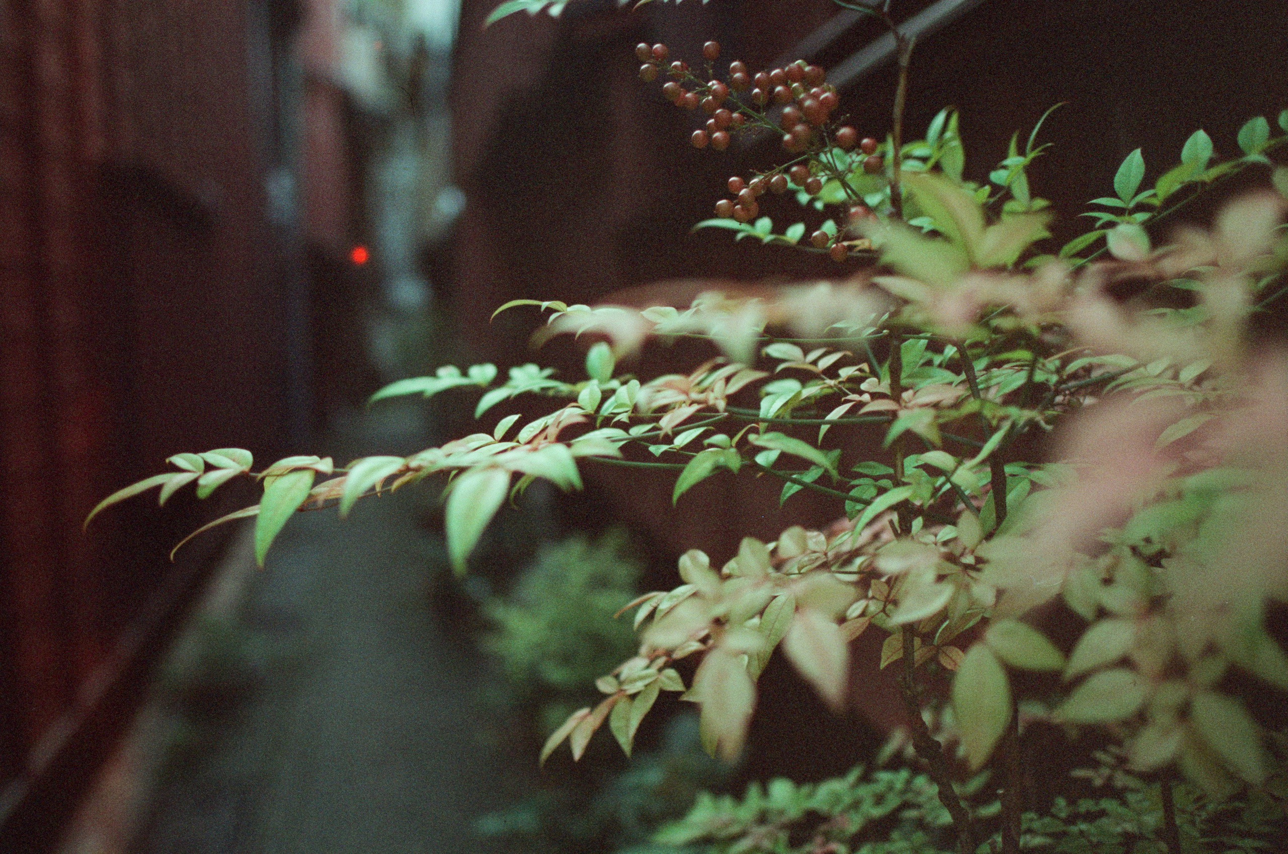 Out of noise // japan, kanazawa. EVER EXPOSED