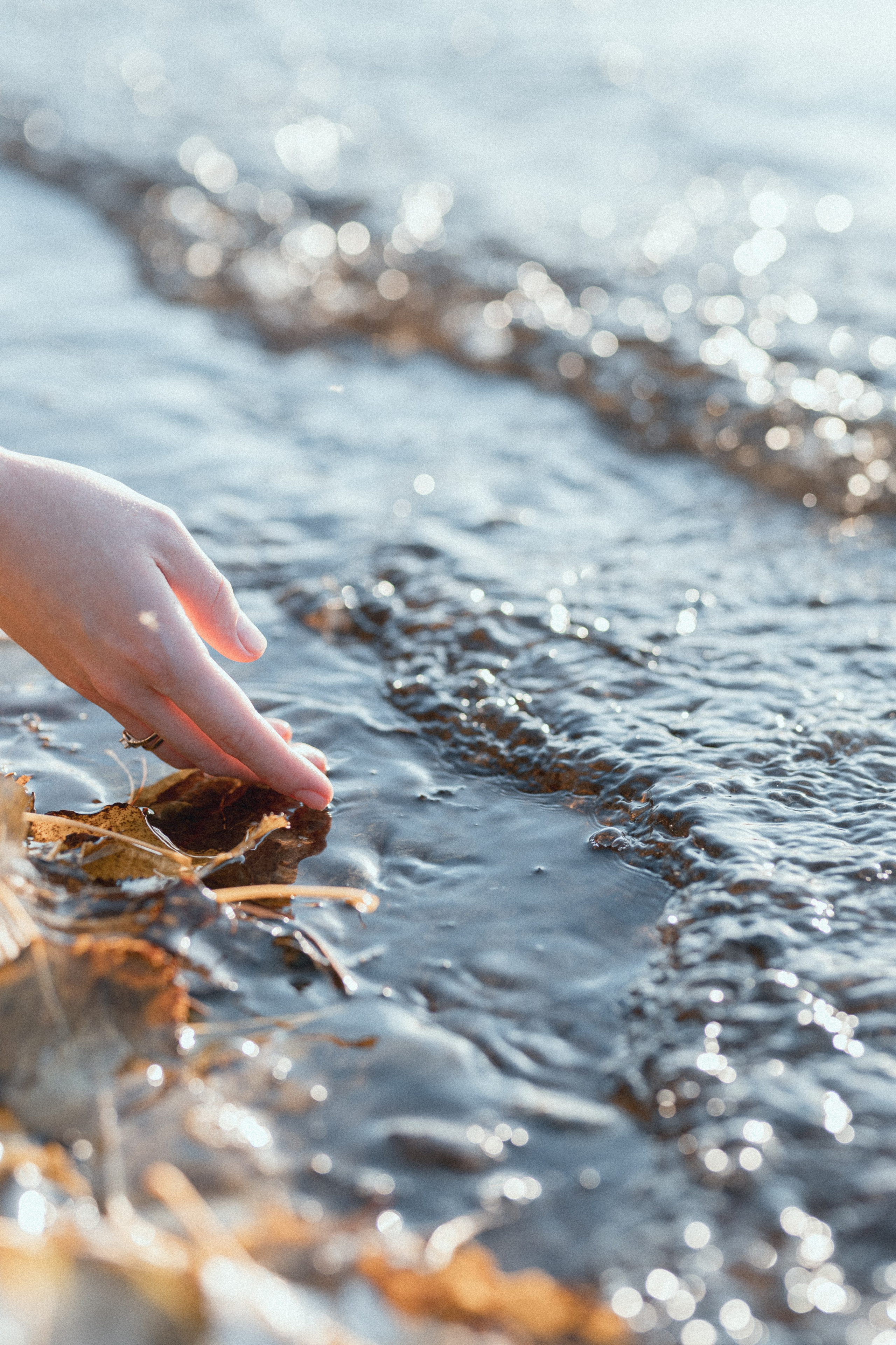 МИНСКОЕ МОРЕ. Cheta Kovalevsky фотографы