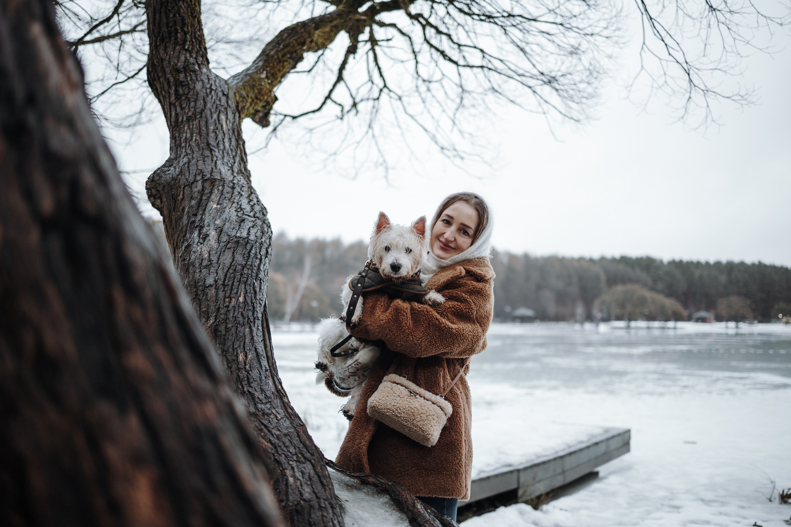 Шелби, Ватсон и ребята. Фотограф — Анималист | Санкт-Петербург