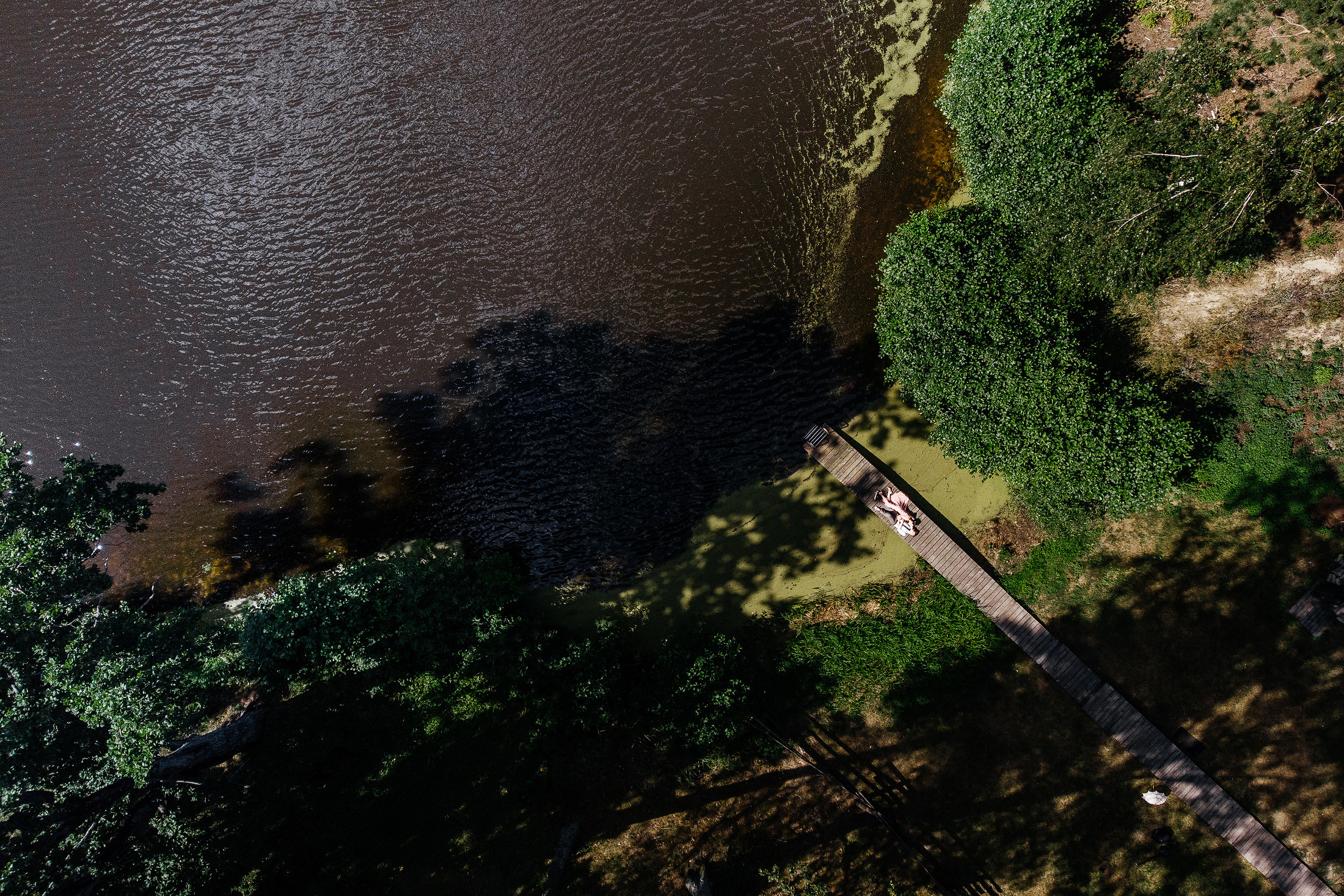 Сергей & Дарина. Свадебный фотограф в Тамбове Синельников Александр