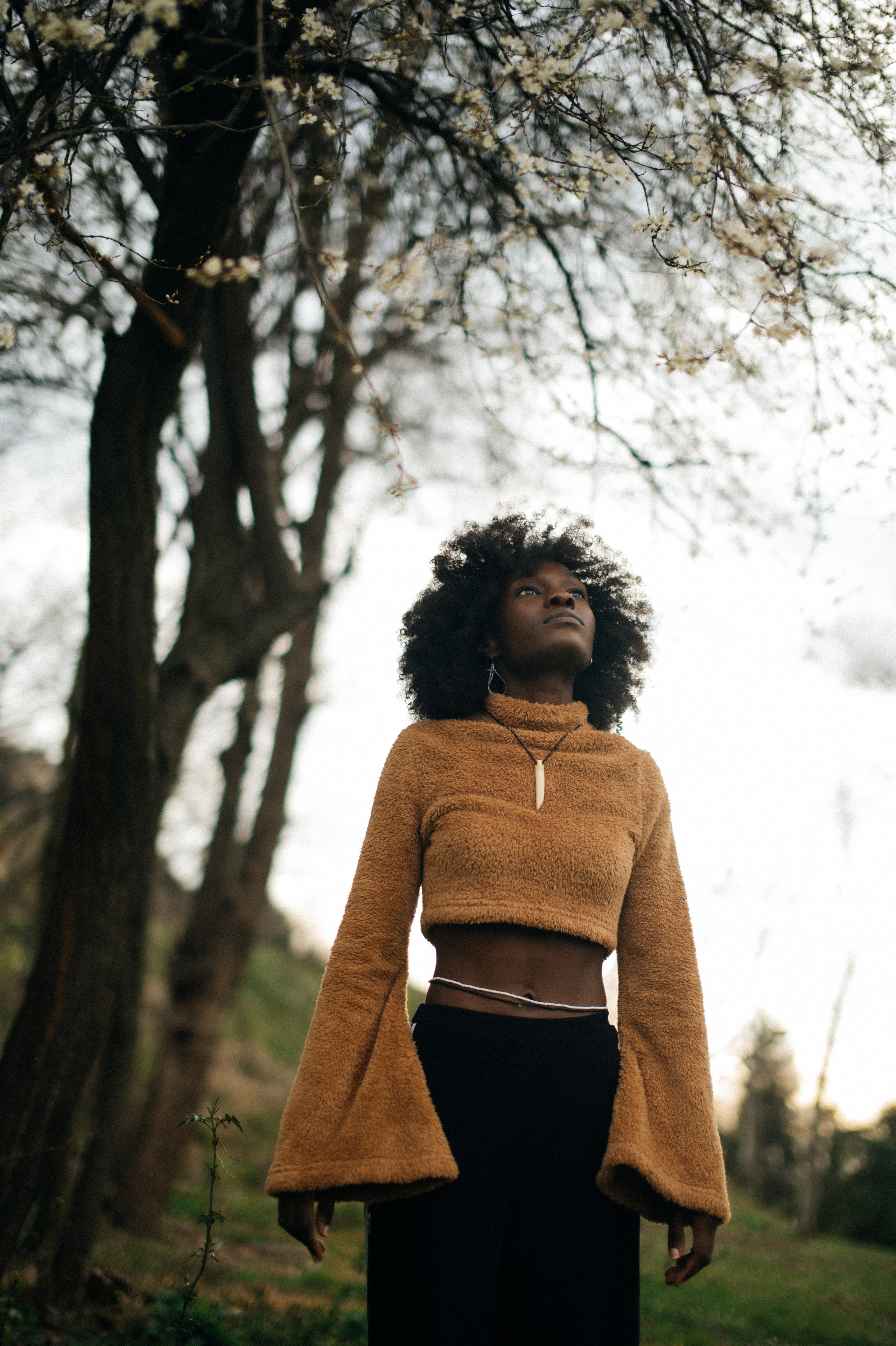 Abi. Photographer Belgrade — Tsvetkova Maria