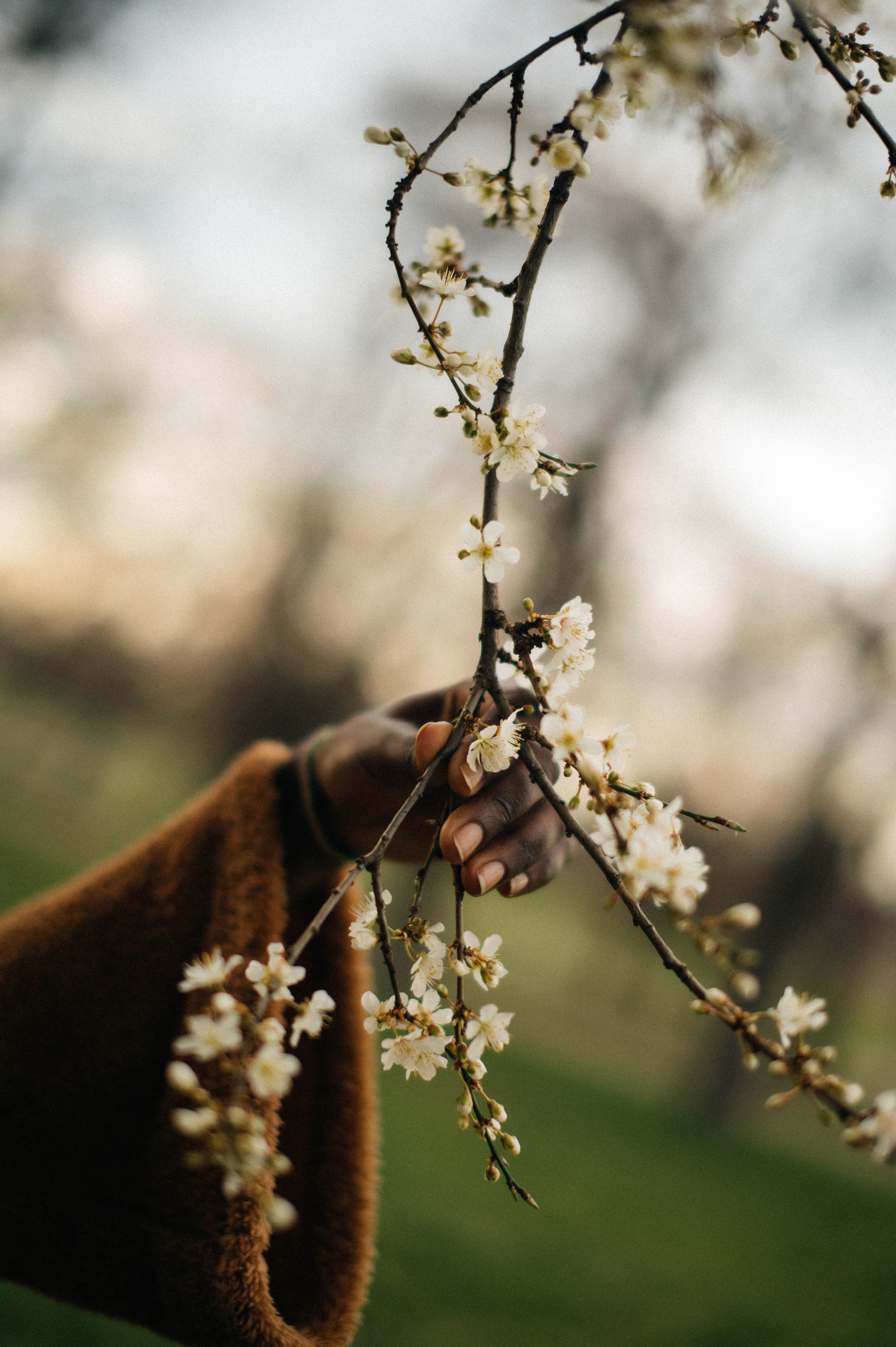 Abi. Photographer Belgrade — Tsvetkova Maria