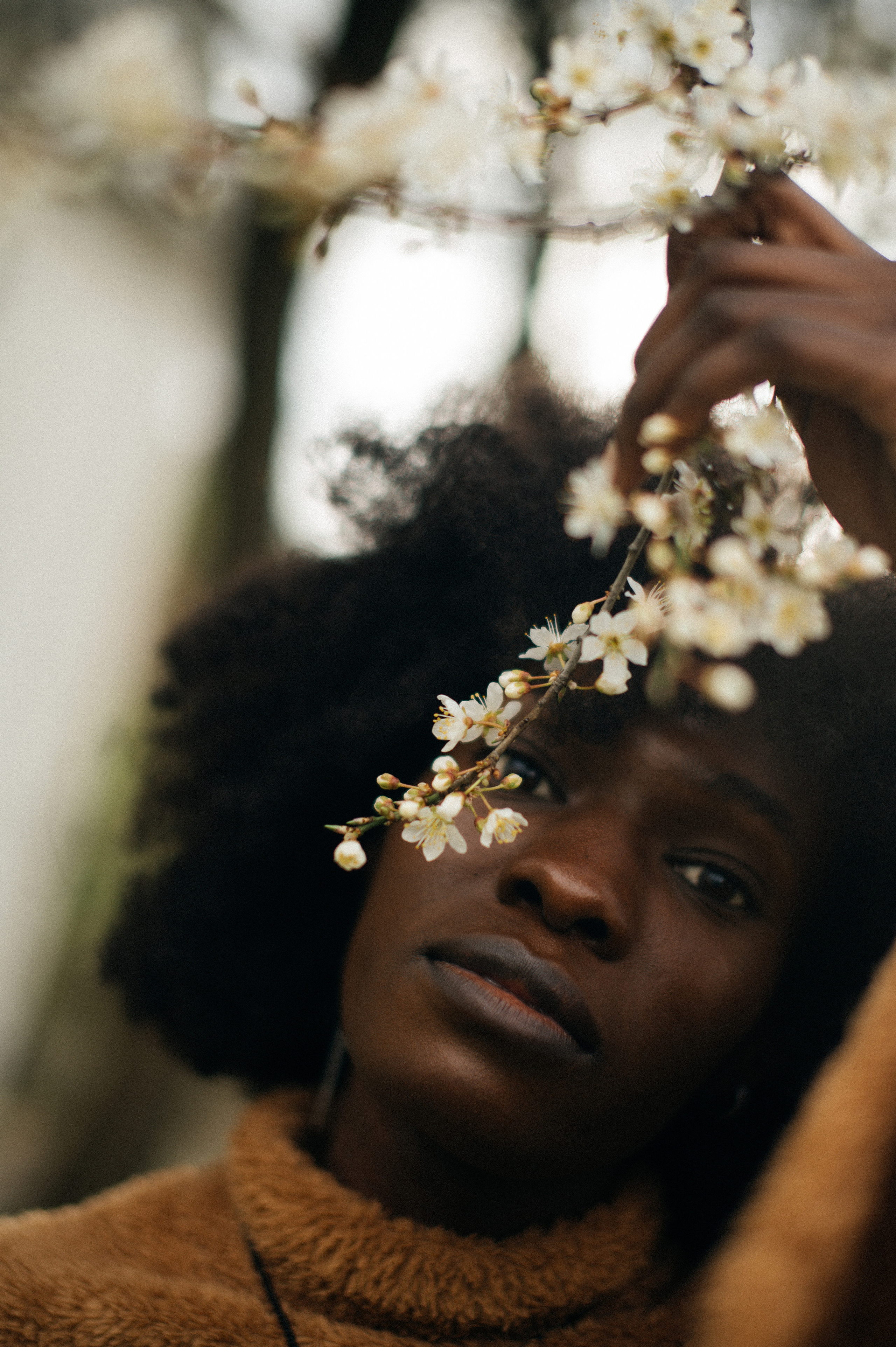 Abi. Photographer Belgrade — Tsvetkova Maria