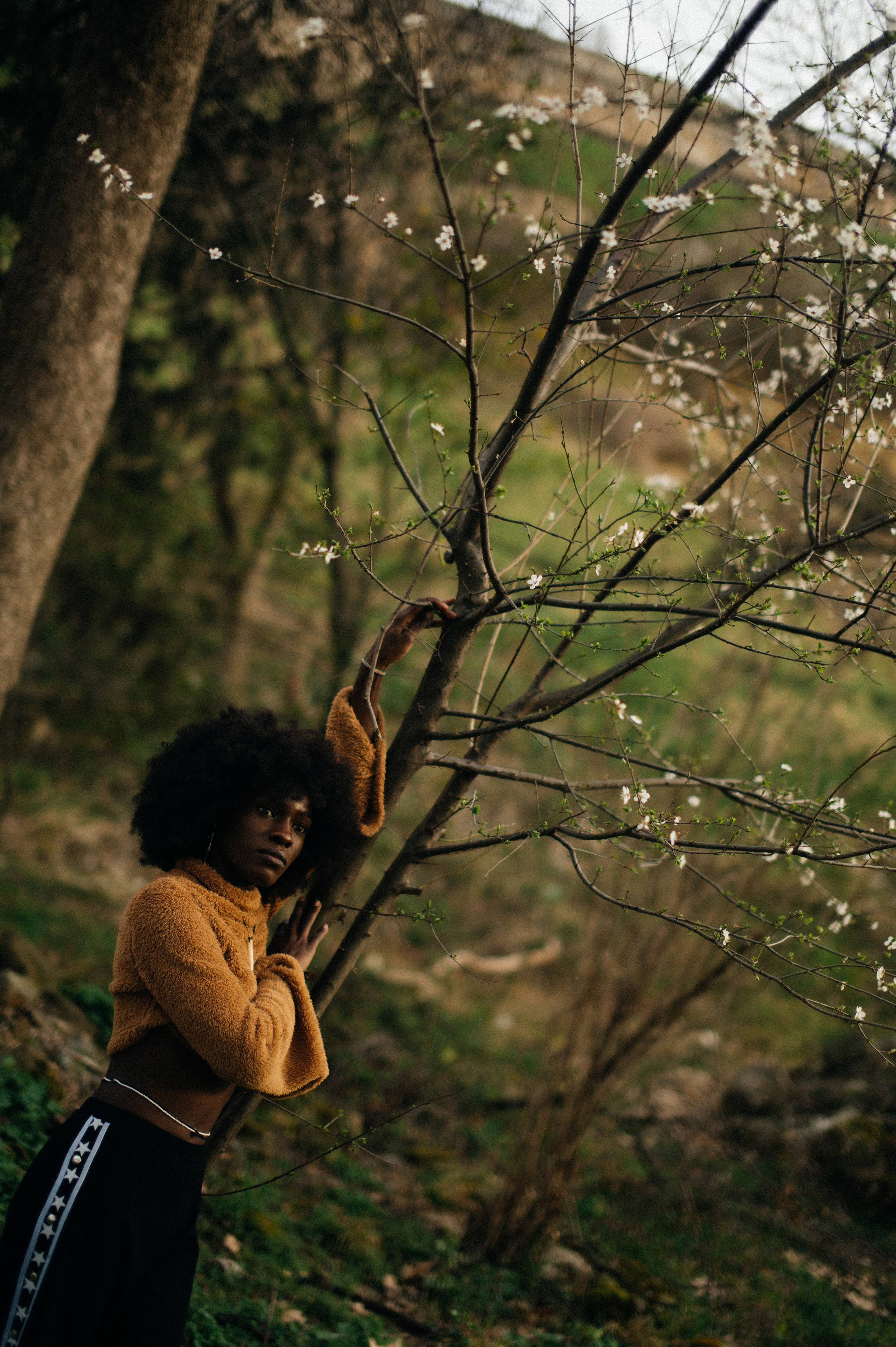 Abi. Photographer Belgrade — Tsvetkova Maria