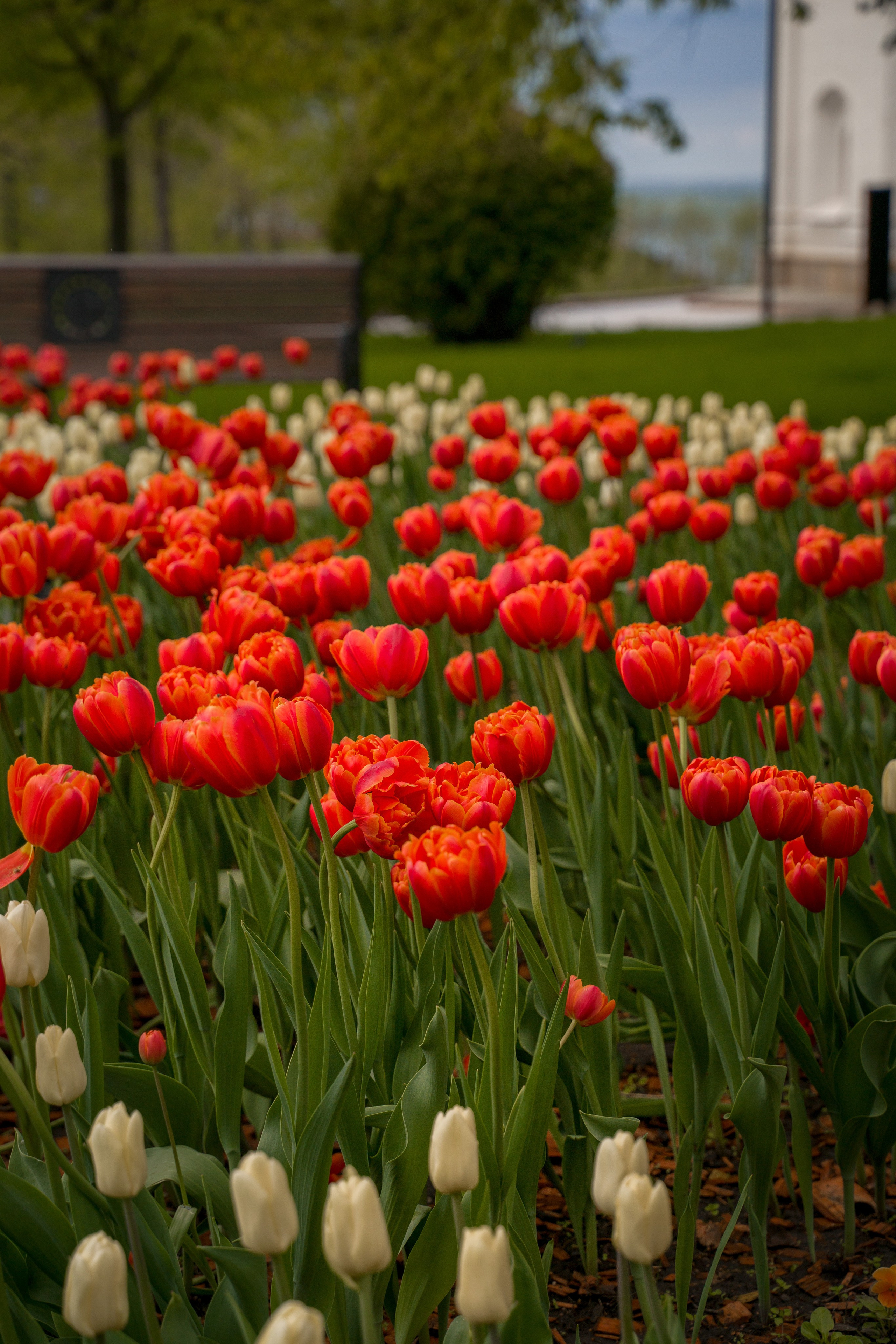 Нижний Новгород. Контент-фотограф в Нижнем Новгороде Антошина Ольга