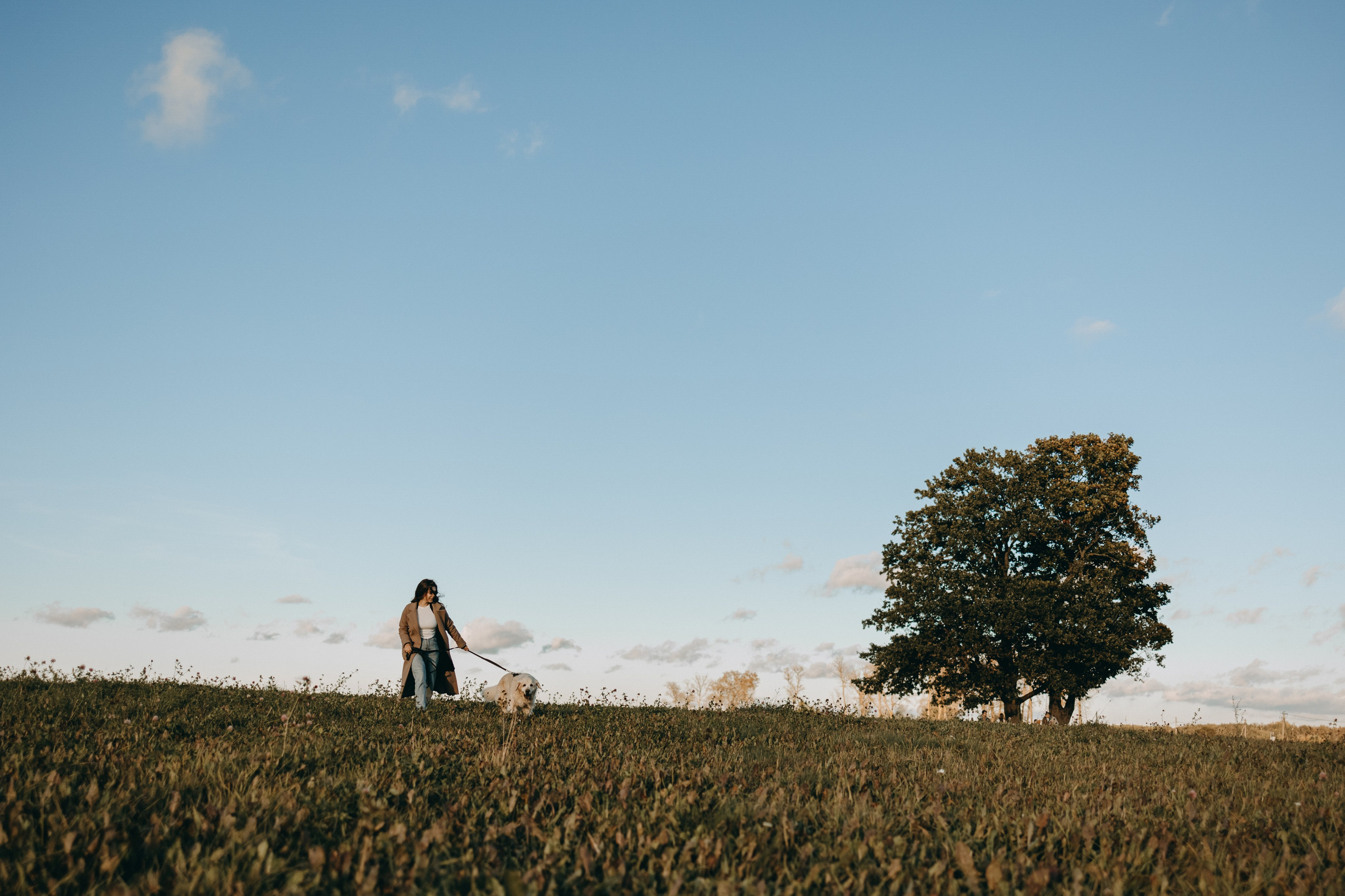 Лера и Скай. Фотограф — Анималист | Санкт-Петербург