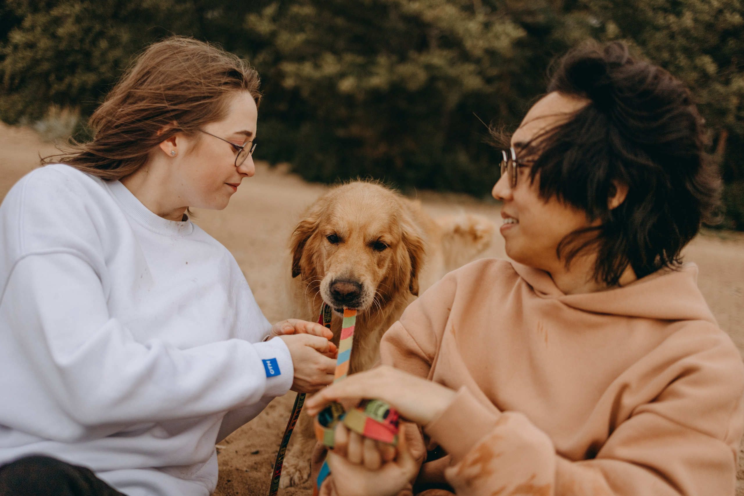 Фоси и его семьи. Фотограф — Анималист | Санкт-Петербург