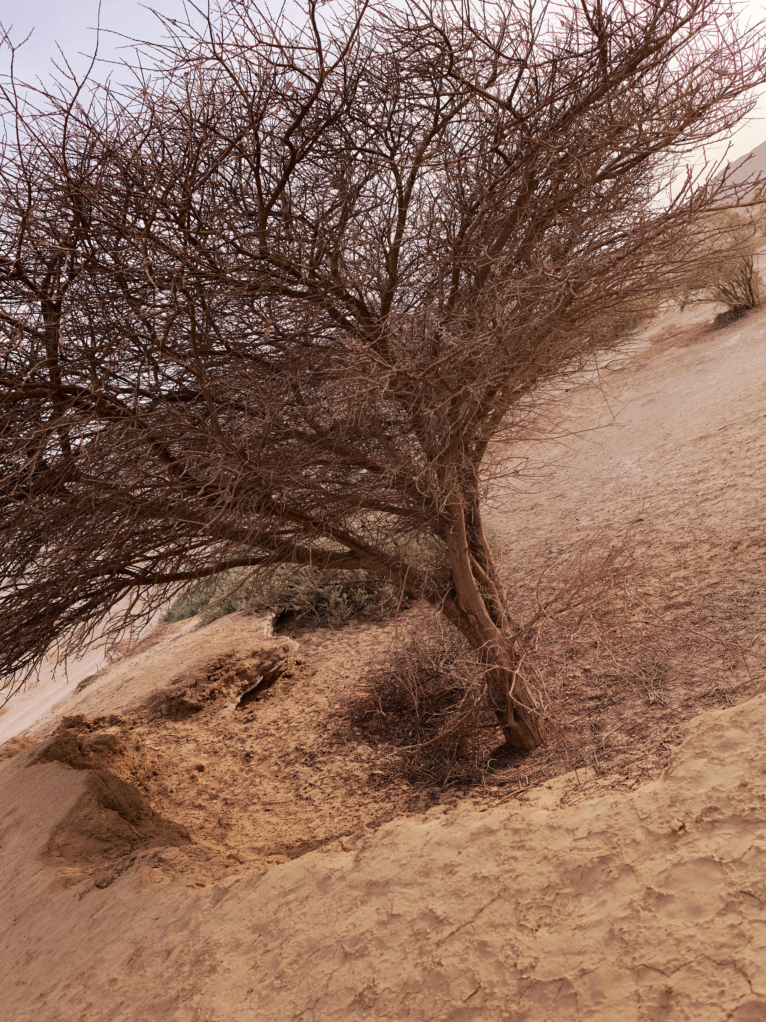 Другое 3. Jorgis Talè — photographer, kind person, teacher of arts and other mag