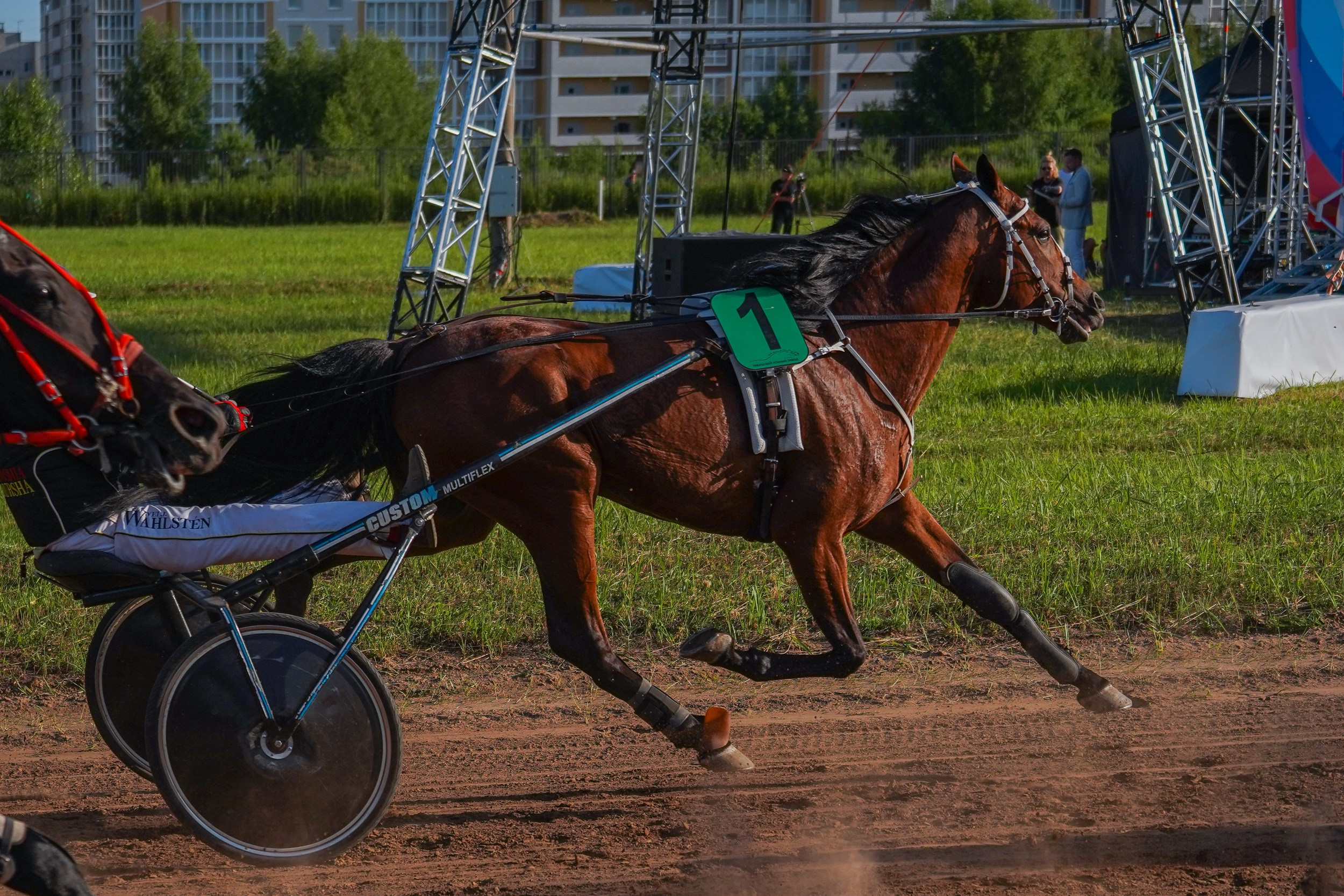 III конные бега на Кубок Главы Чувашии. Фотограф-анималист, портретный фотограф в Чебоксарах Мария Садыкова