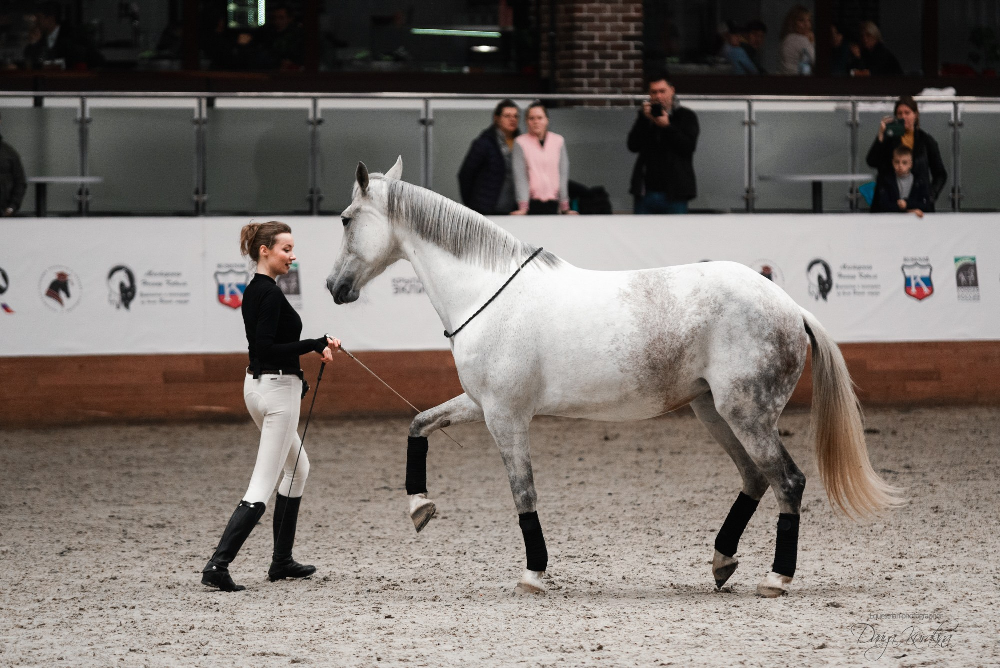8-я международная выставка Конная Россия. Конный фотограф Куракина Дарья • Фотосессии с лошадьми