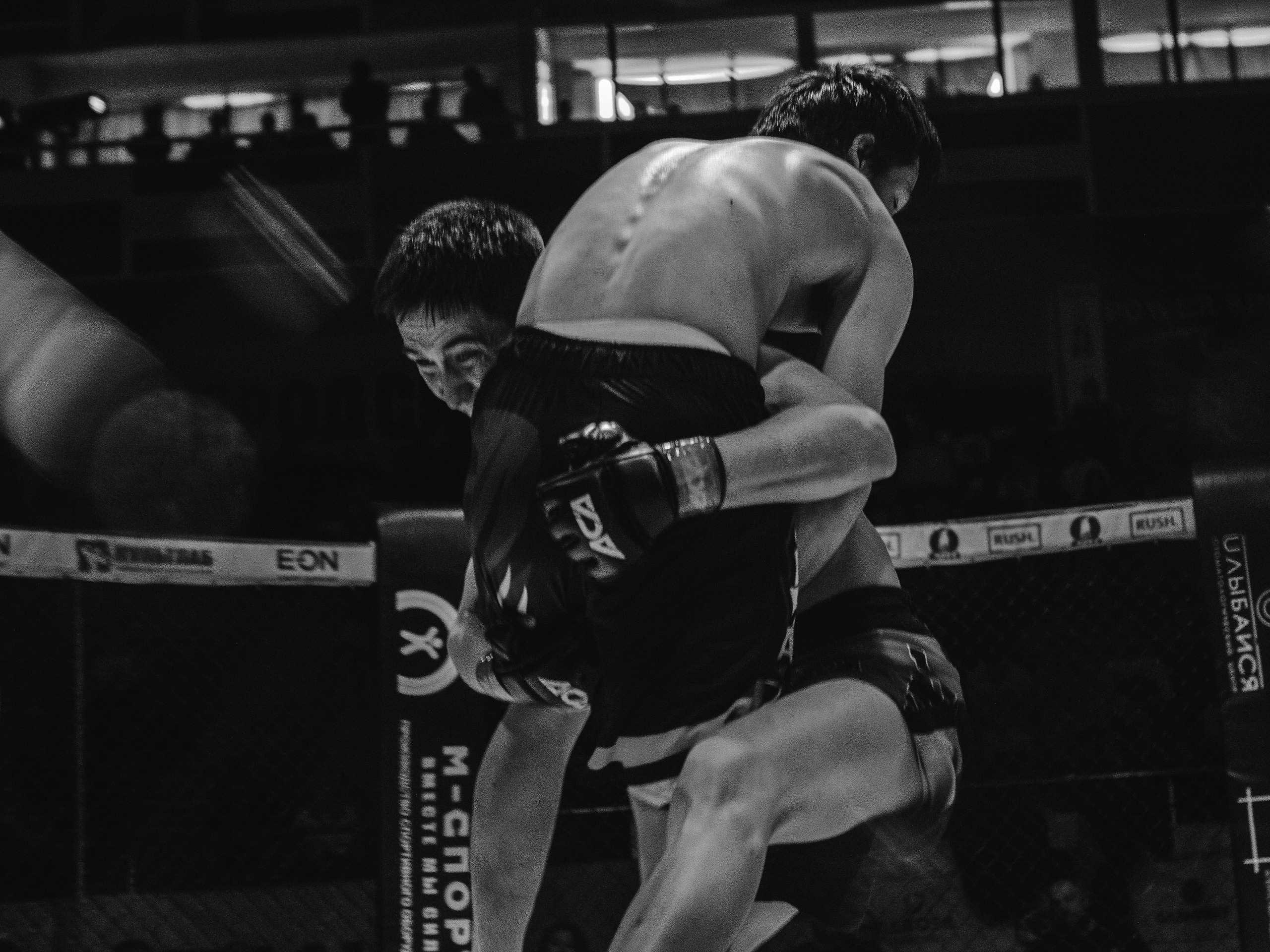 SFL 17 | Siberian Fighting League. Портретный фотограф в Москве Дарья Цезария