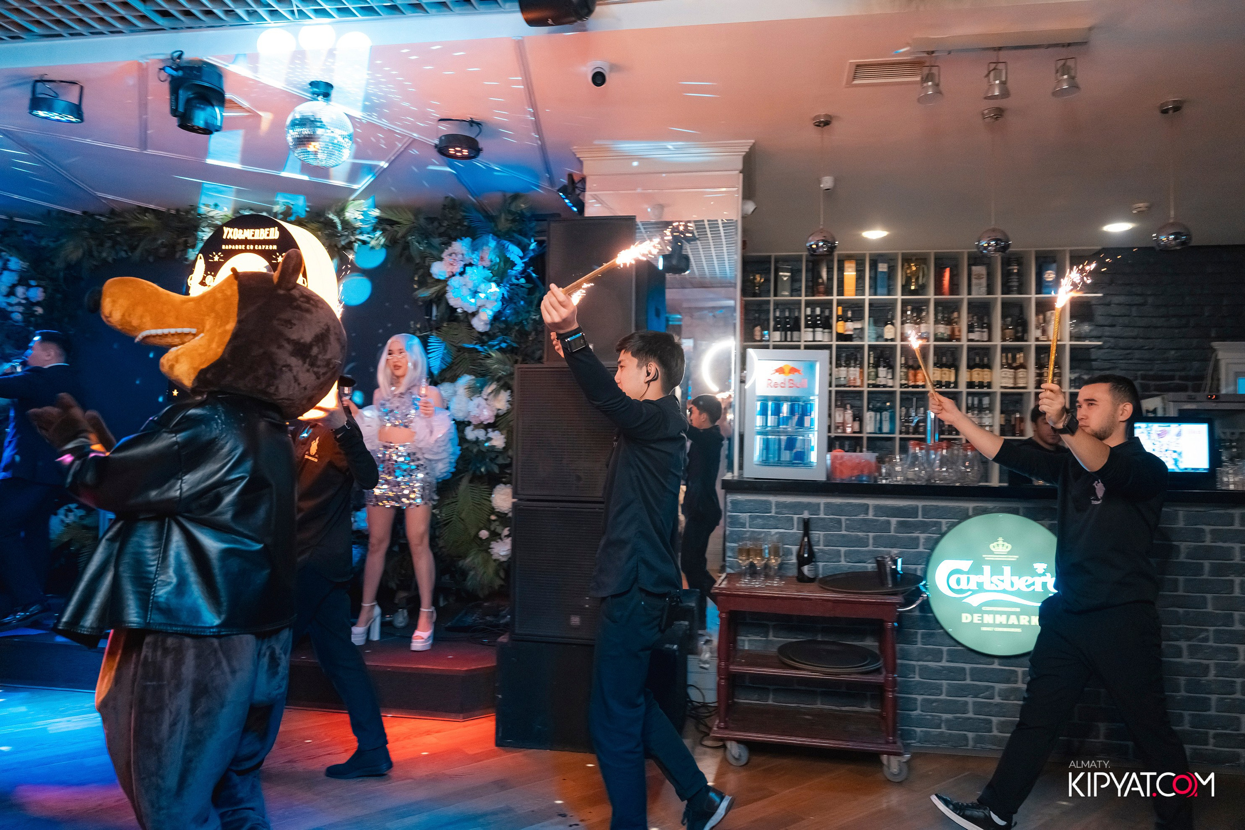 УХО И МЕДВЕДЬ НА КУРМАНГАЗЫ. КИПЯТКОМ АЛМАТЫ! Фотосъемка мероприятий в Алматы