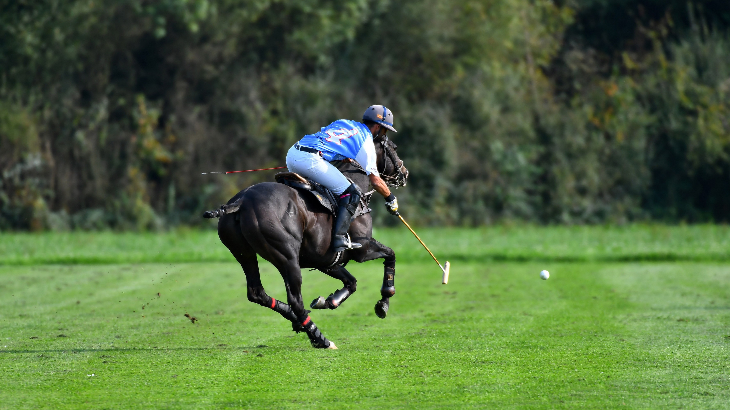 Polo art photos. Art photos of horses — ARTUR BABOEV | Photographer