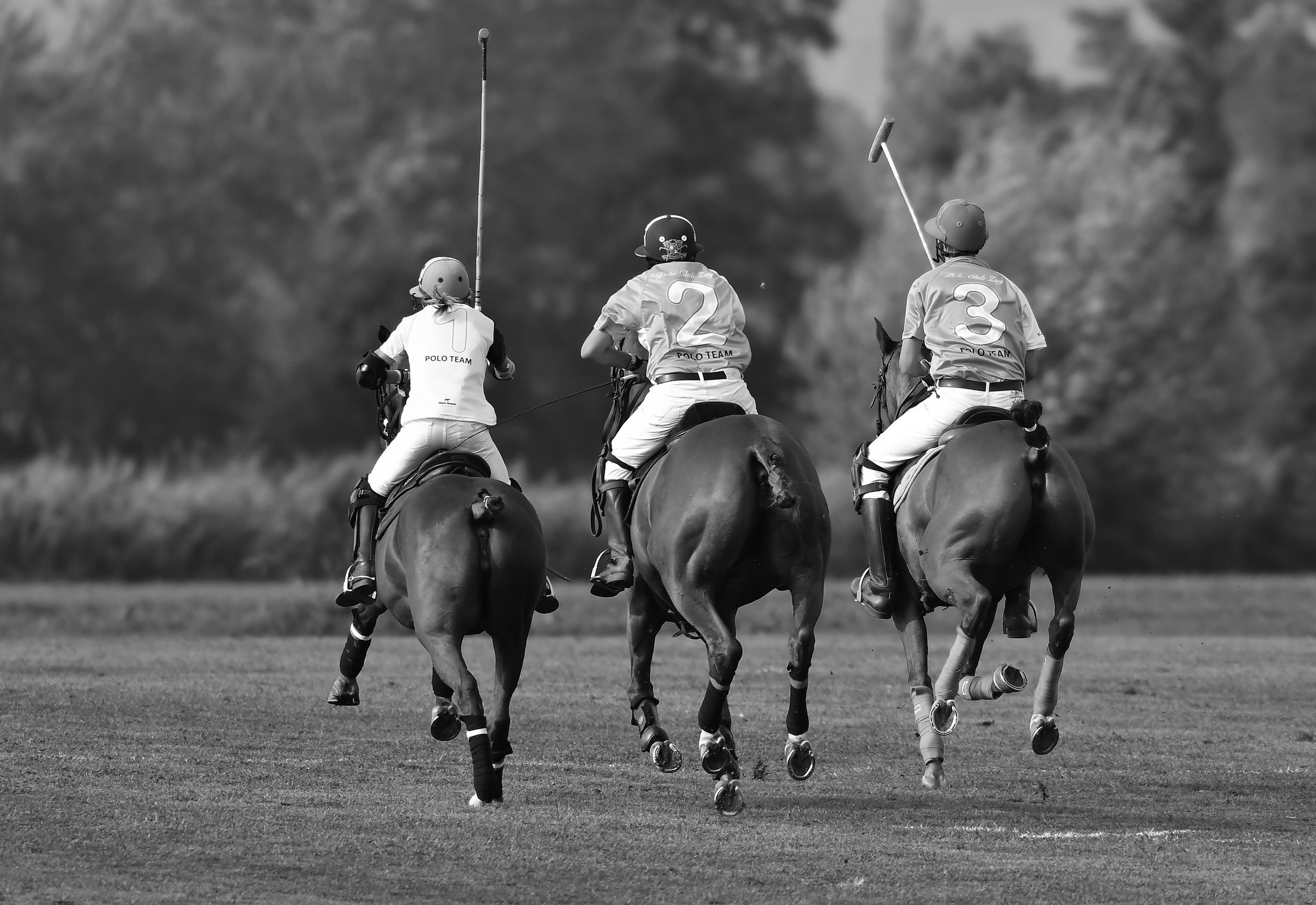 Polo art photos. Art photos of horses — ARTUR BABOEV | Photographer