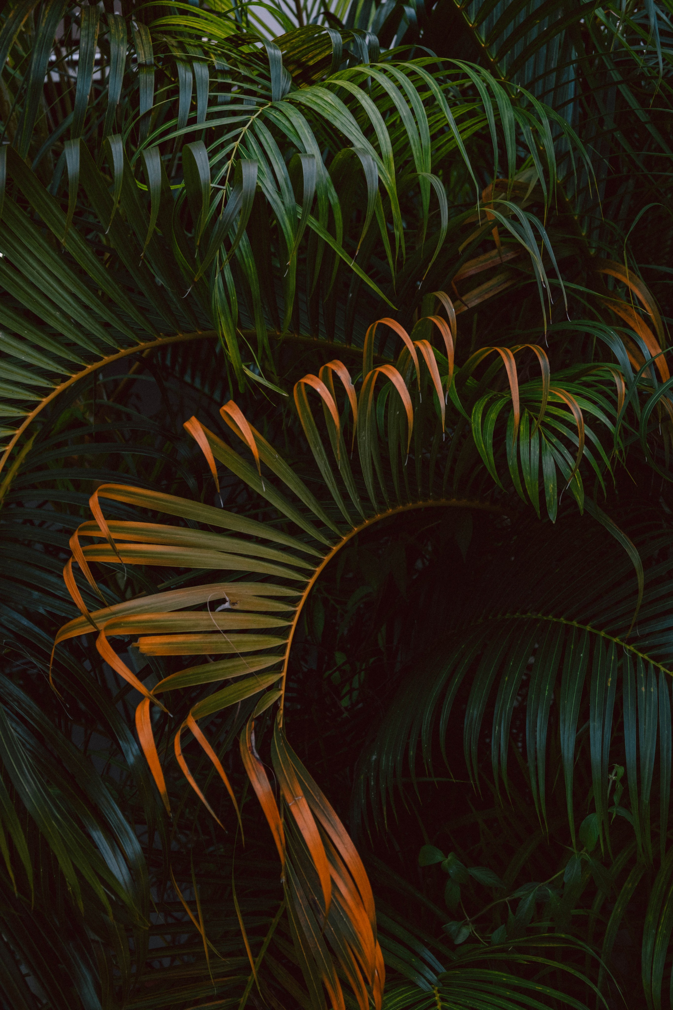 Путешествия. Контент-фотограф и видеограф в Перми