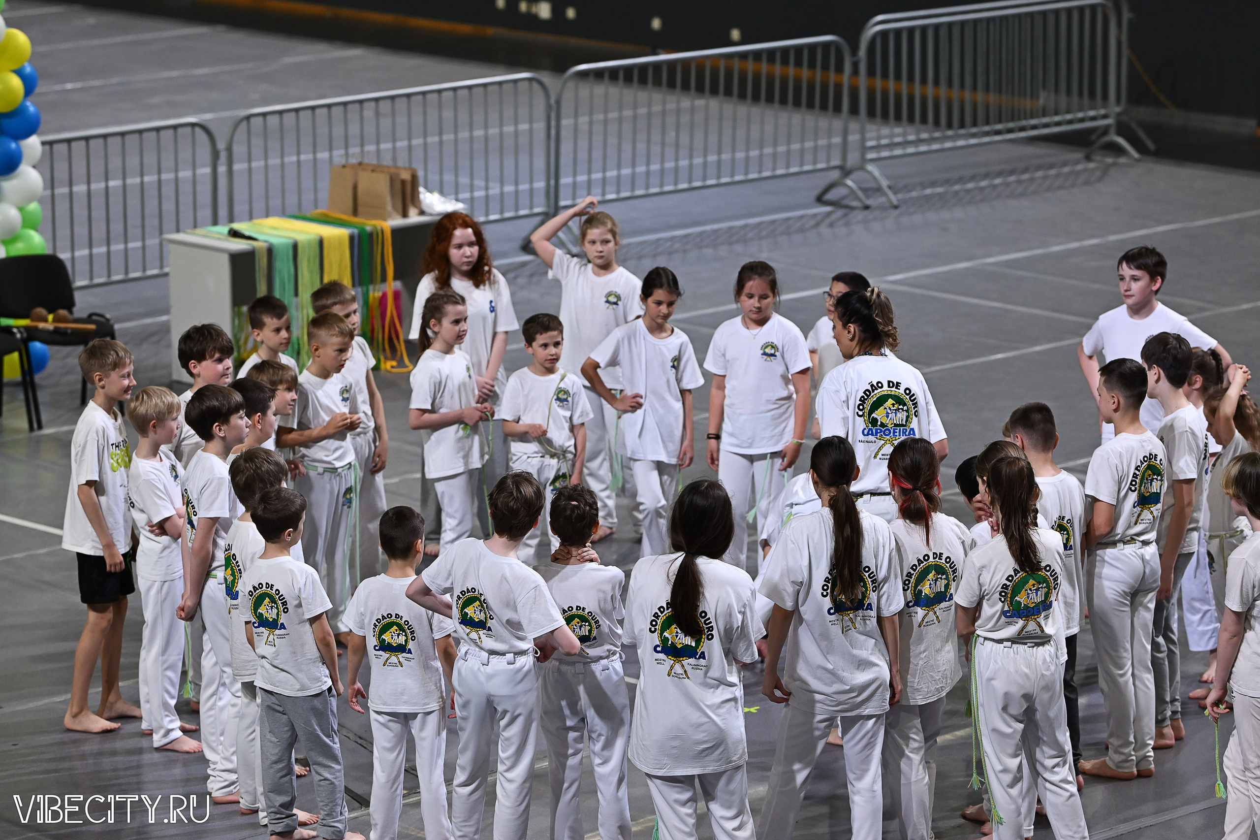 Капоэйра. Вручение поясов. VIBECITY.RU Вайб Сити Ру Фоторепортажи Фотоотчеты Калининград