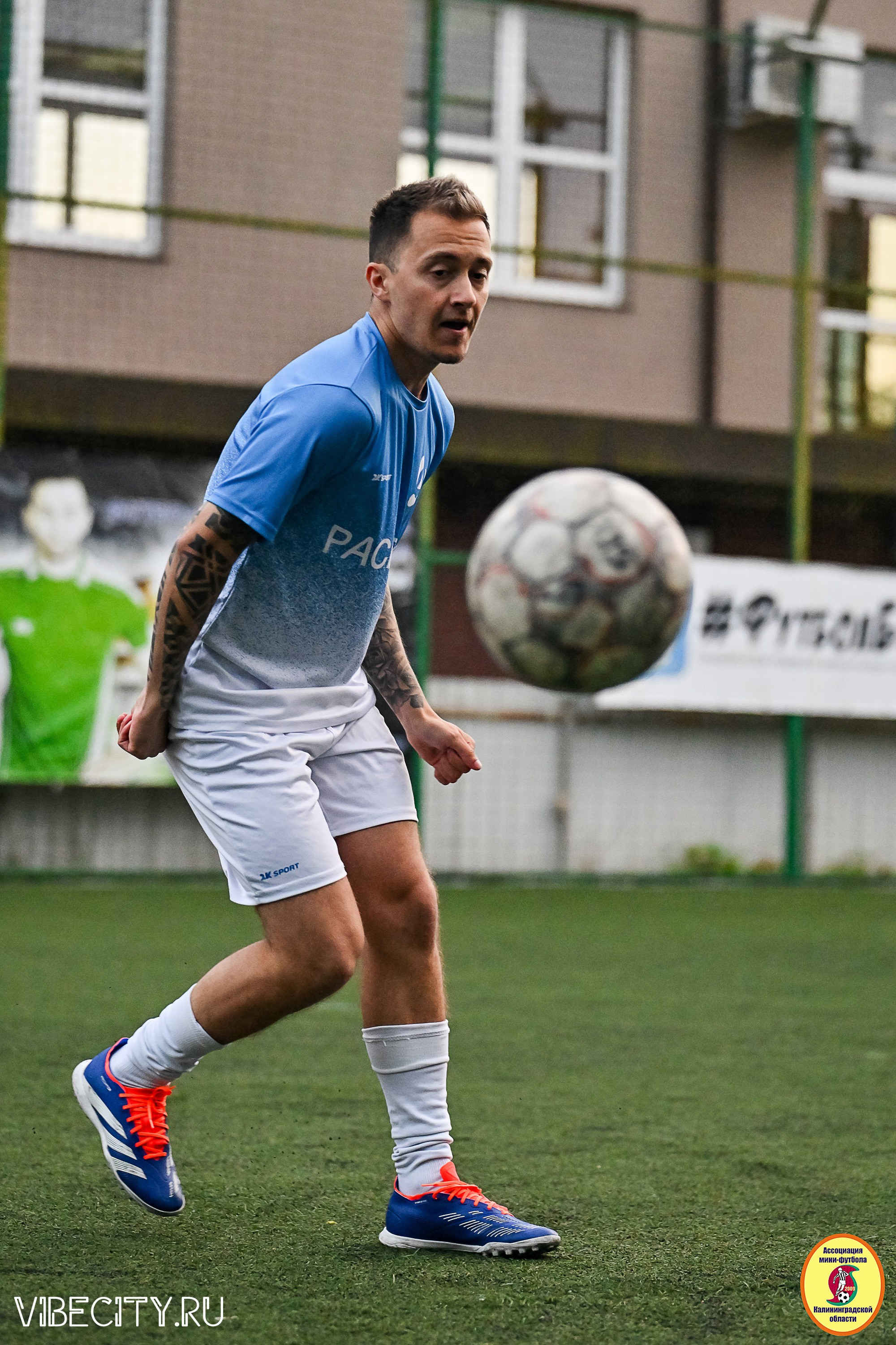 ПЛЕЙ-ОФФ КОРПОРАТИВНОЙ МФЛ И КУБКА МФЛ. VIBECITY.RU Вайб Сити Ру Фоторепортажи Фотоотчеты Калининград