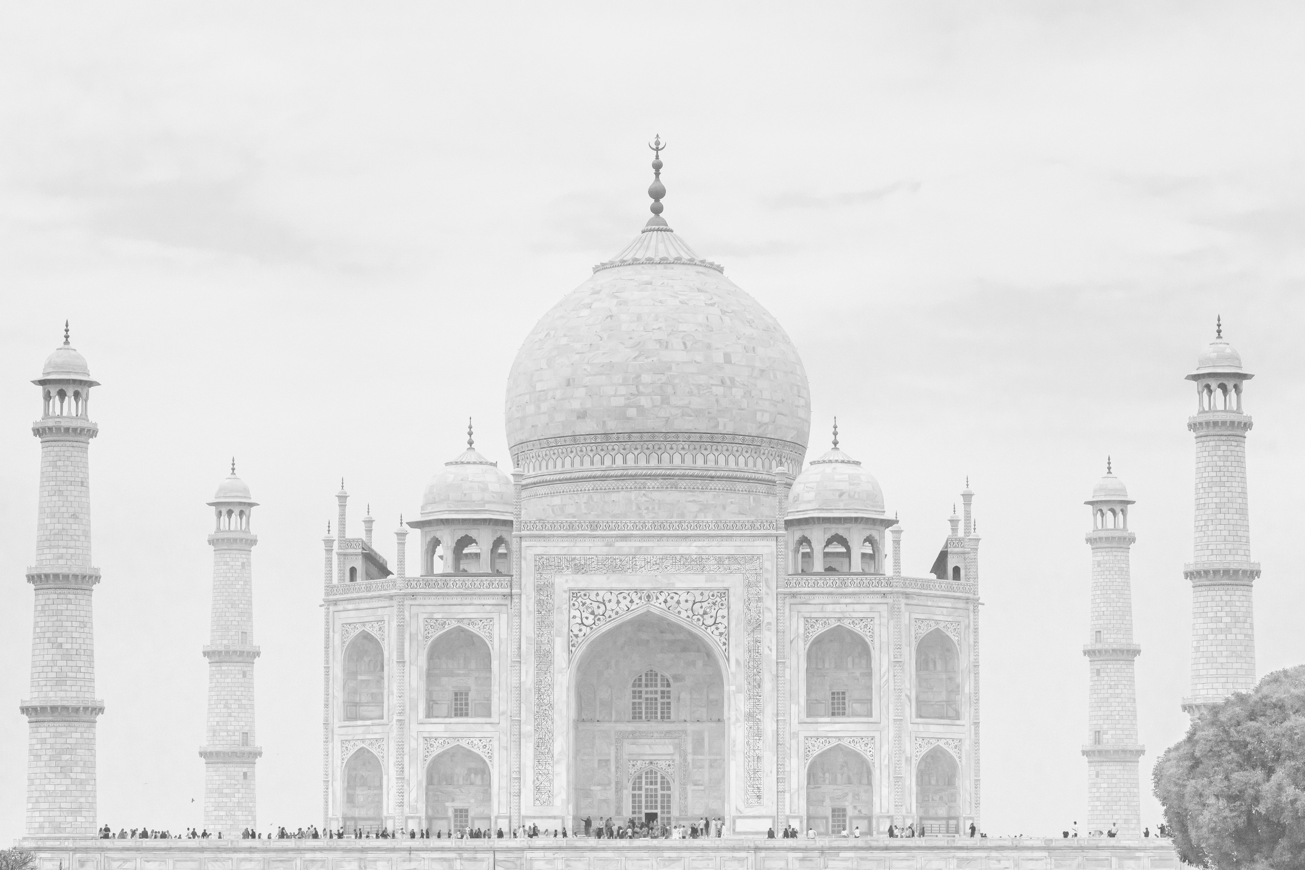 Dimitri Bakhtadze, single works photos. Dimitri Bakhtadze photographer