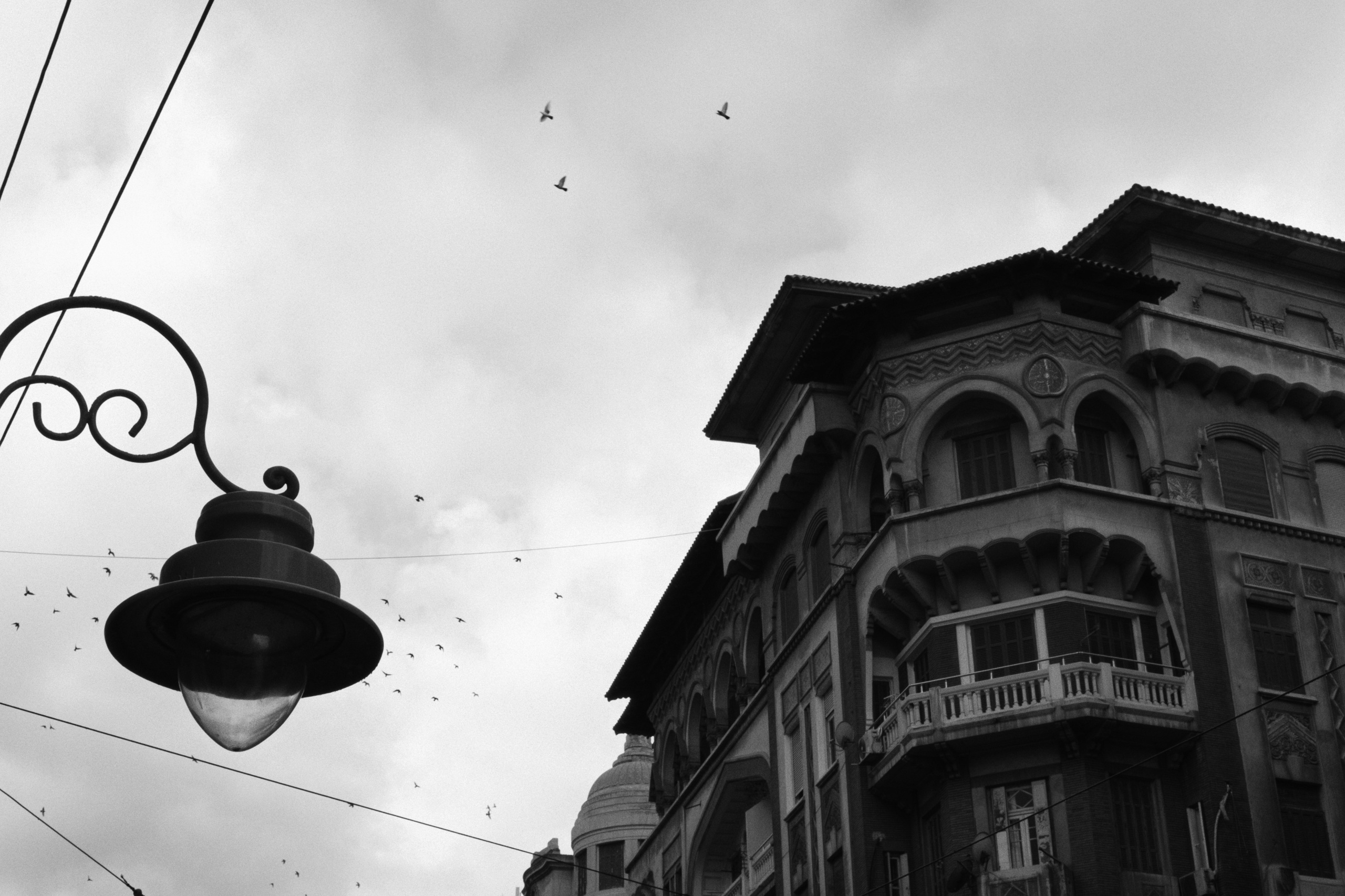 Alexandria / Egypt AW25. Фотограф Юрин Евгений