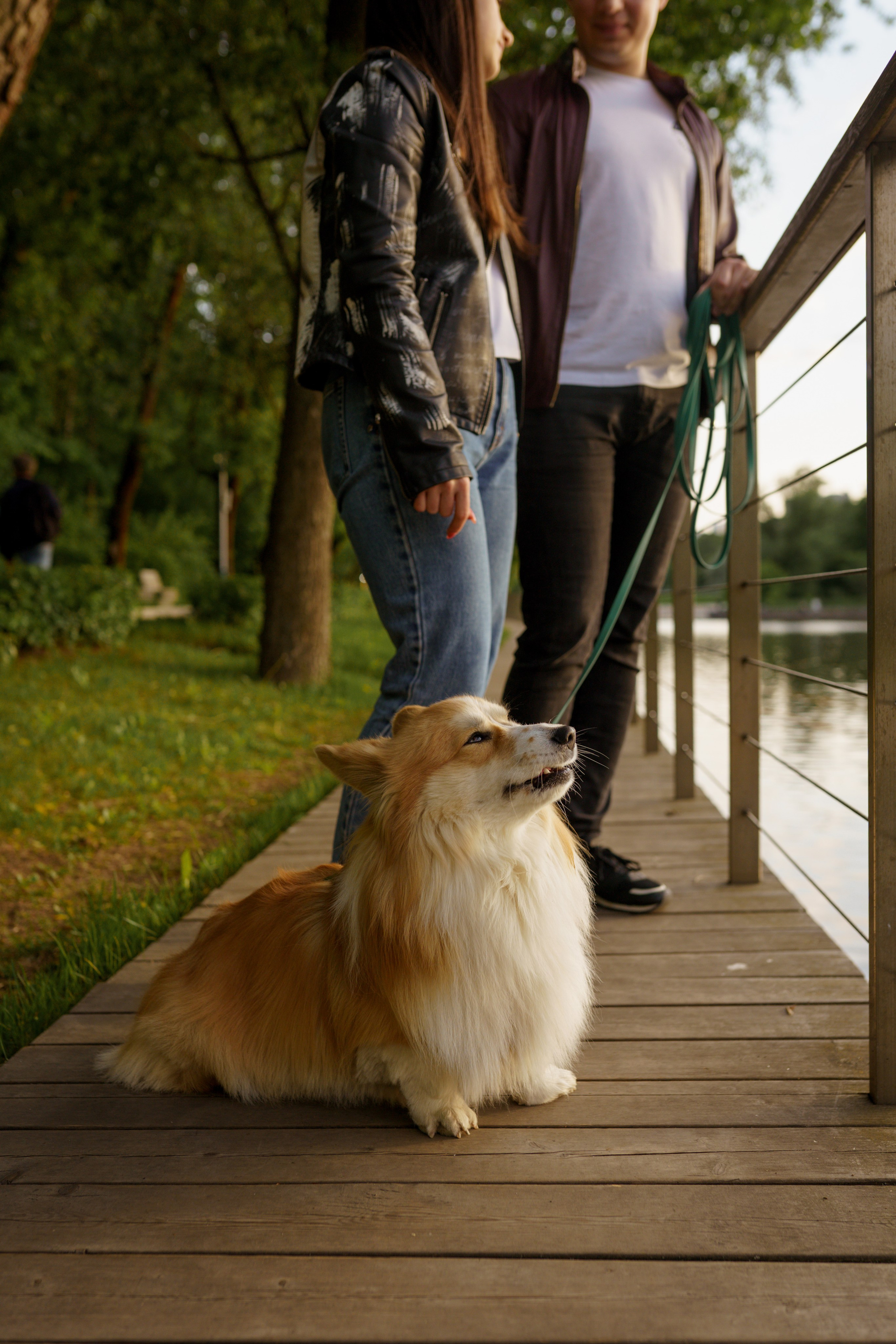 Катя, Арсений и Пух. Свадебный фотограф в Москве Анна Полушина