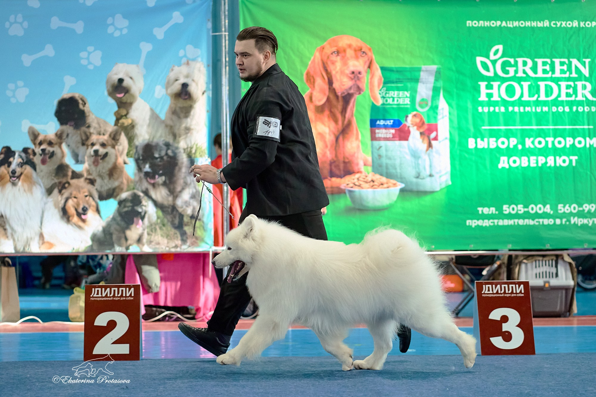 Выставки разное. Фотограф-анималист в Иркутске