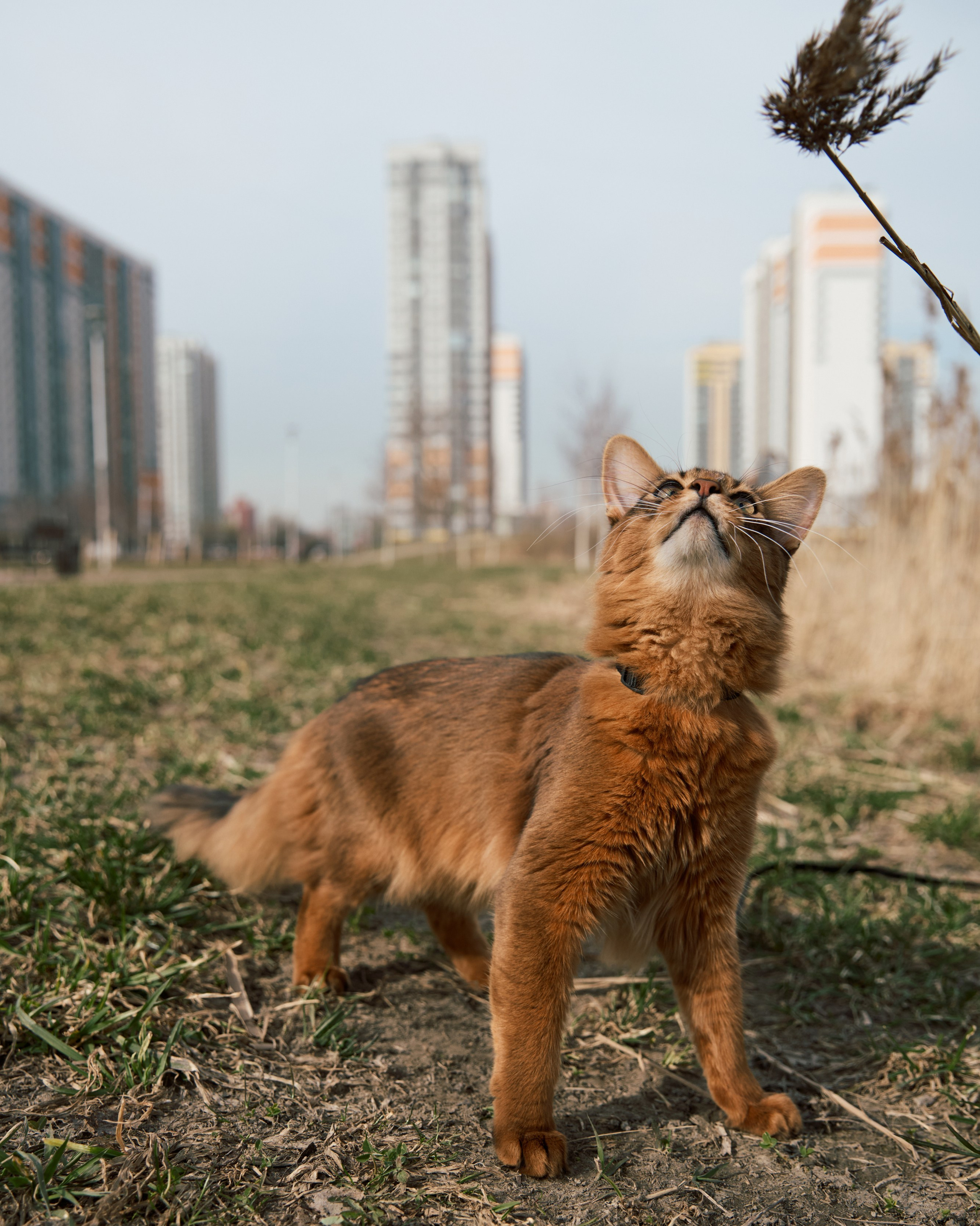 Rufus. Творческий фотограф в Санкт-Петербурге — Никита Шохенмайер