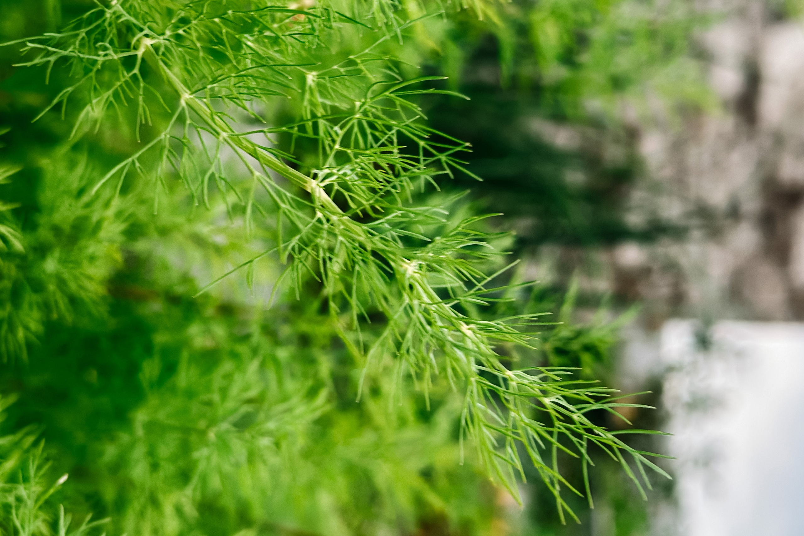 Природа. Команда фотографов Кристины Ивановой