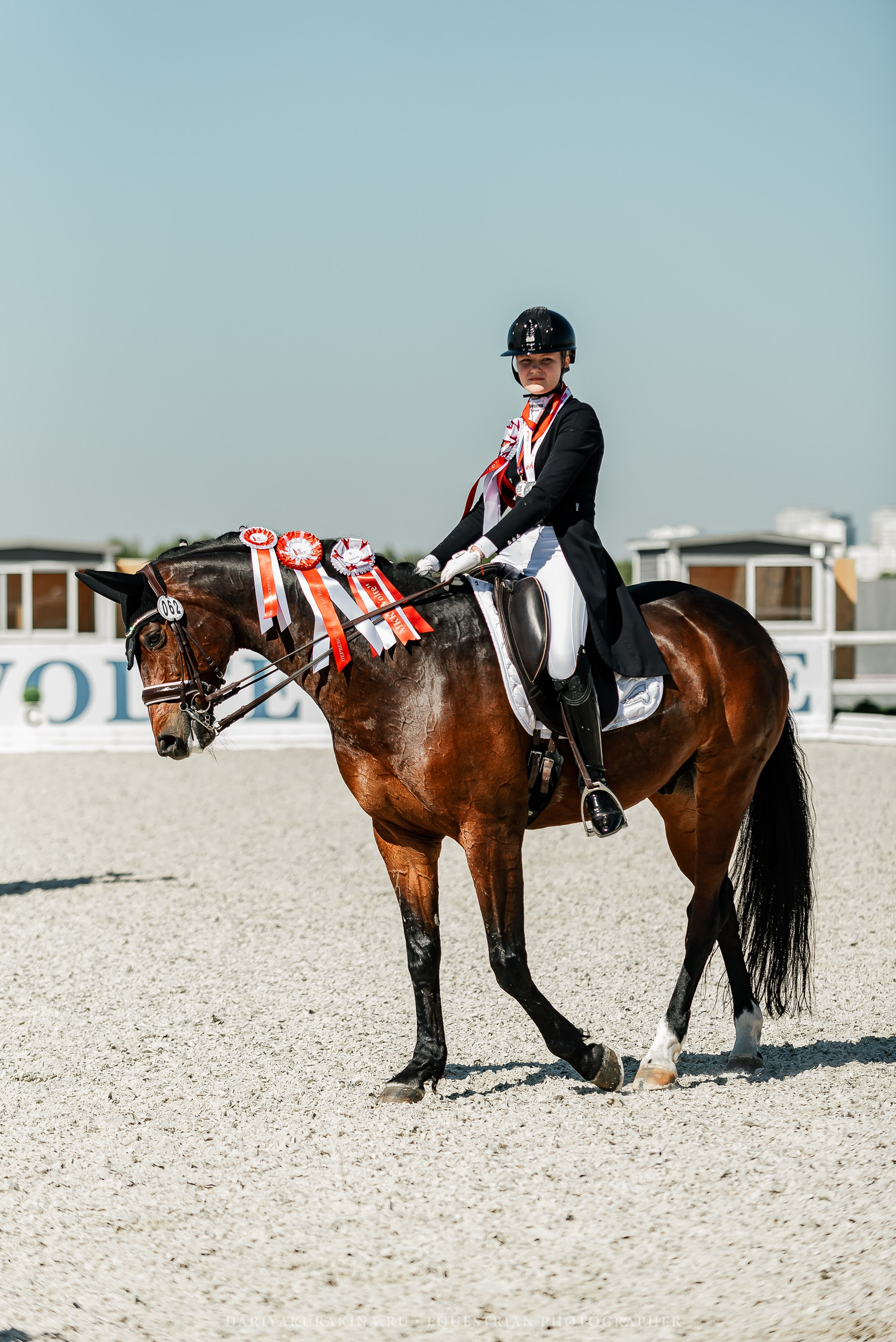 РЕПОРТАЖ МКК ВОЛЬТ «LA TULIPS». Конный фотограф Куракина Дарья • Фотосессии с лошадьми