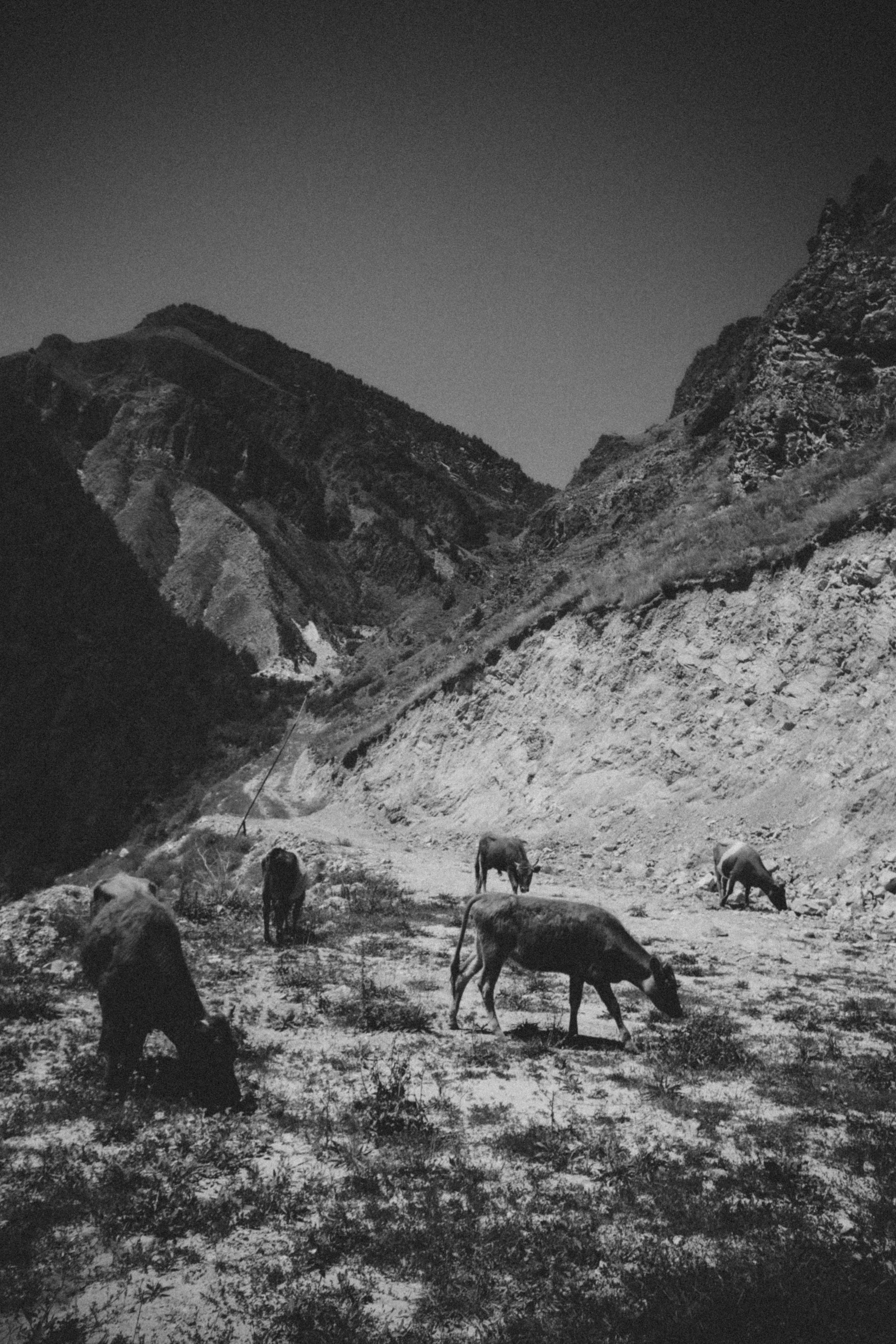 Дагестан. Чечня. 2024. Фотограф в Нижнем Новгороде