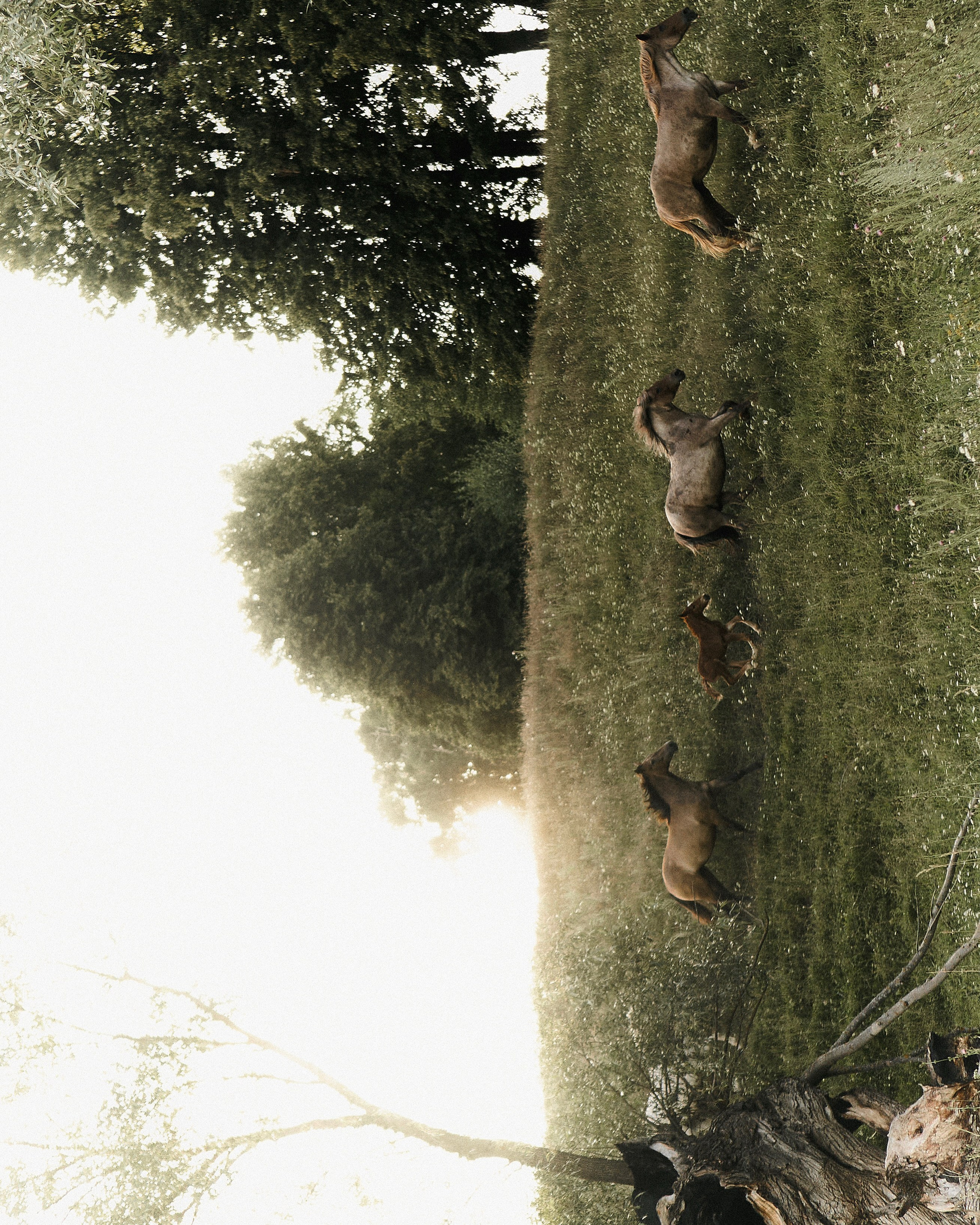 Индивидуальная и семейная фотосессия в Чебоксарах Оксана Русакова