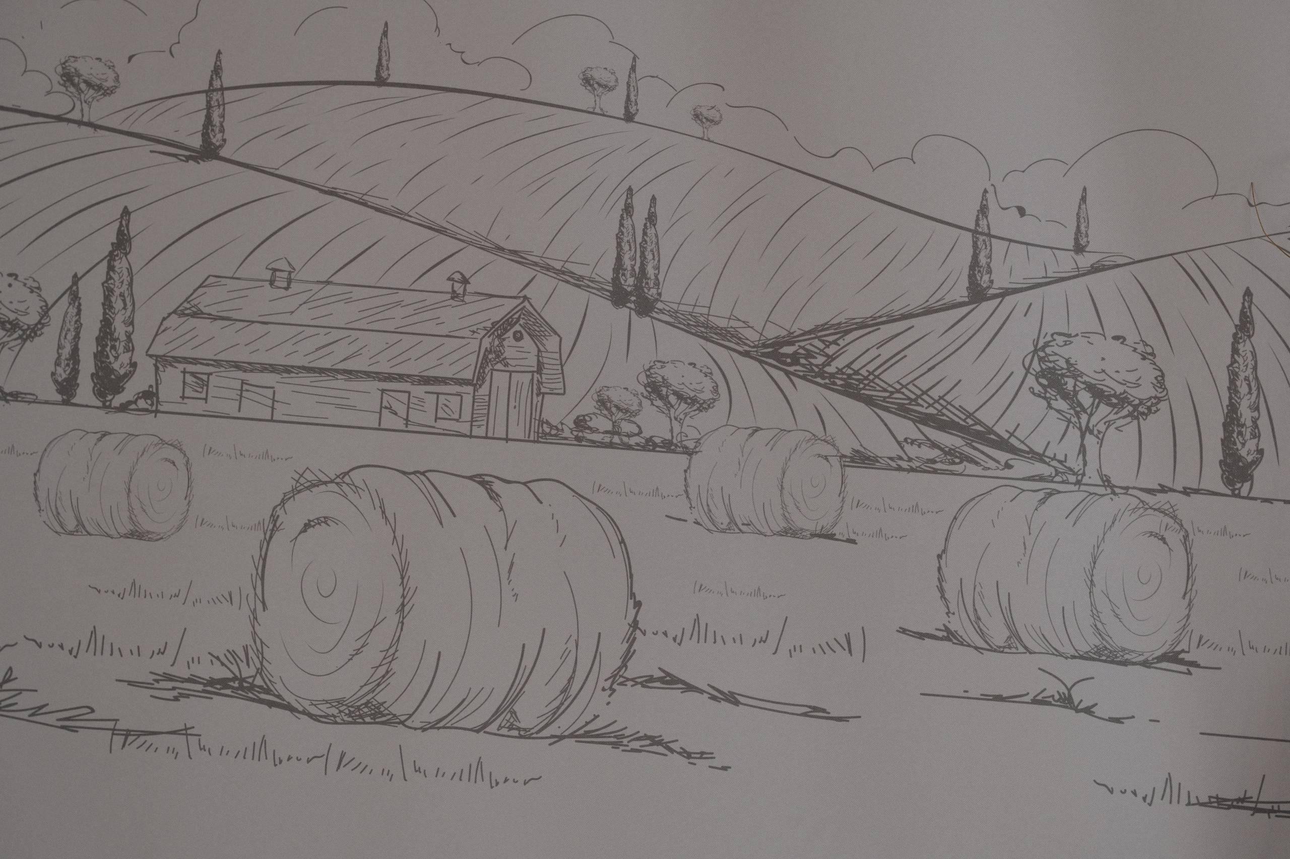 Солнцестояние. Свадебный фотограф Наташа Алешина