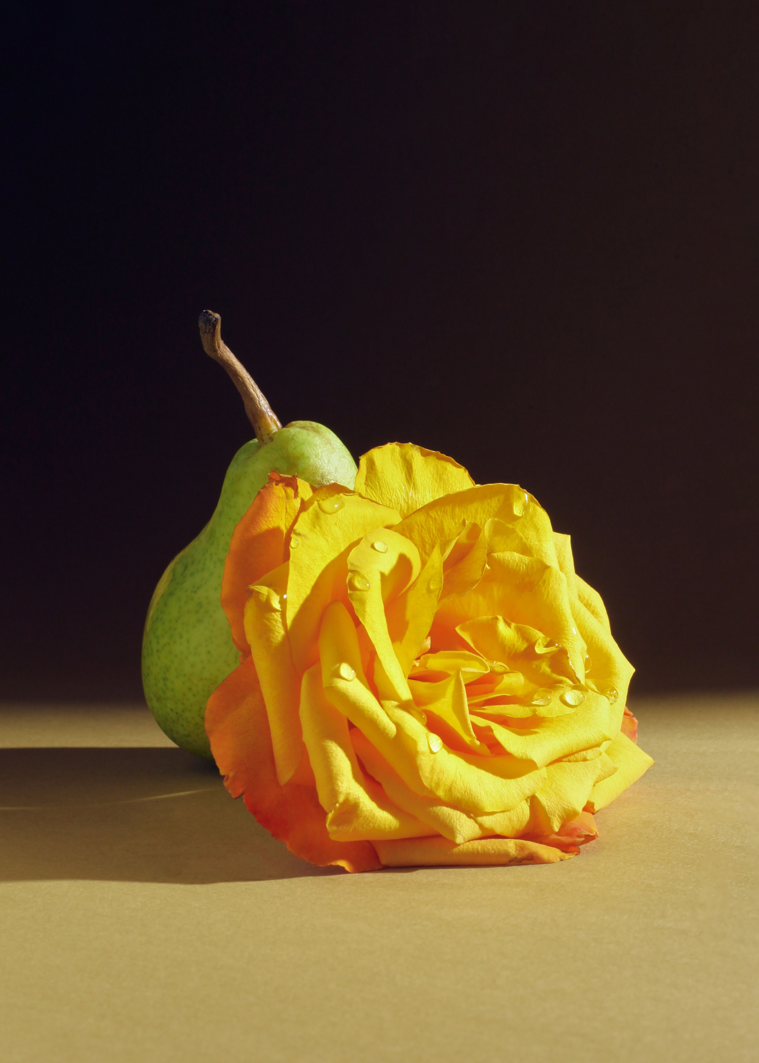 Интерьерные картины. Ангелина Журавлева Фотограф в Москве