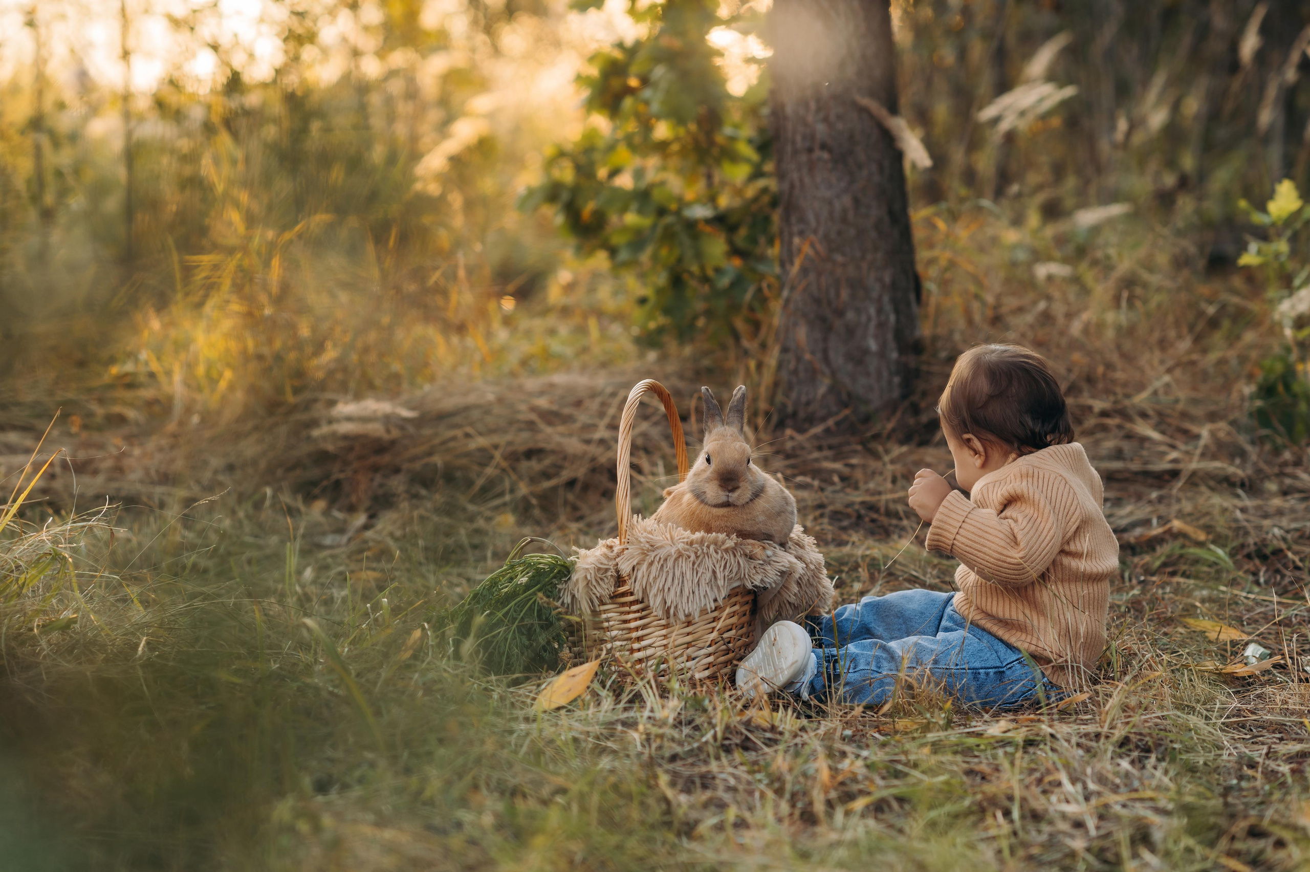 Теплый сентябрь. Главная