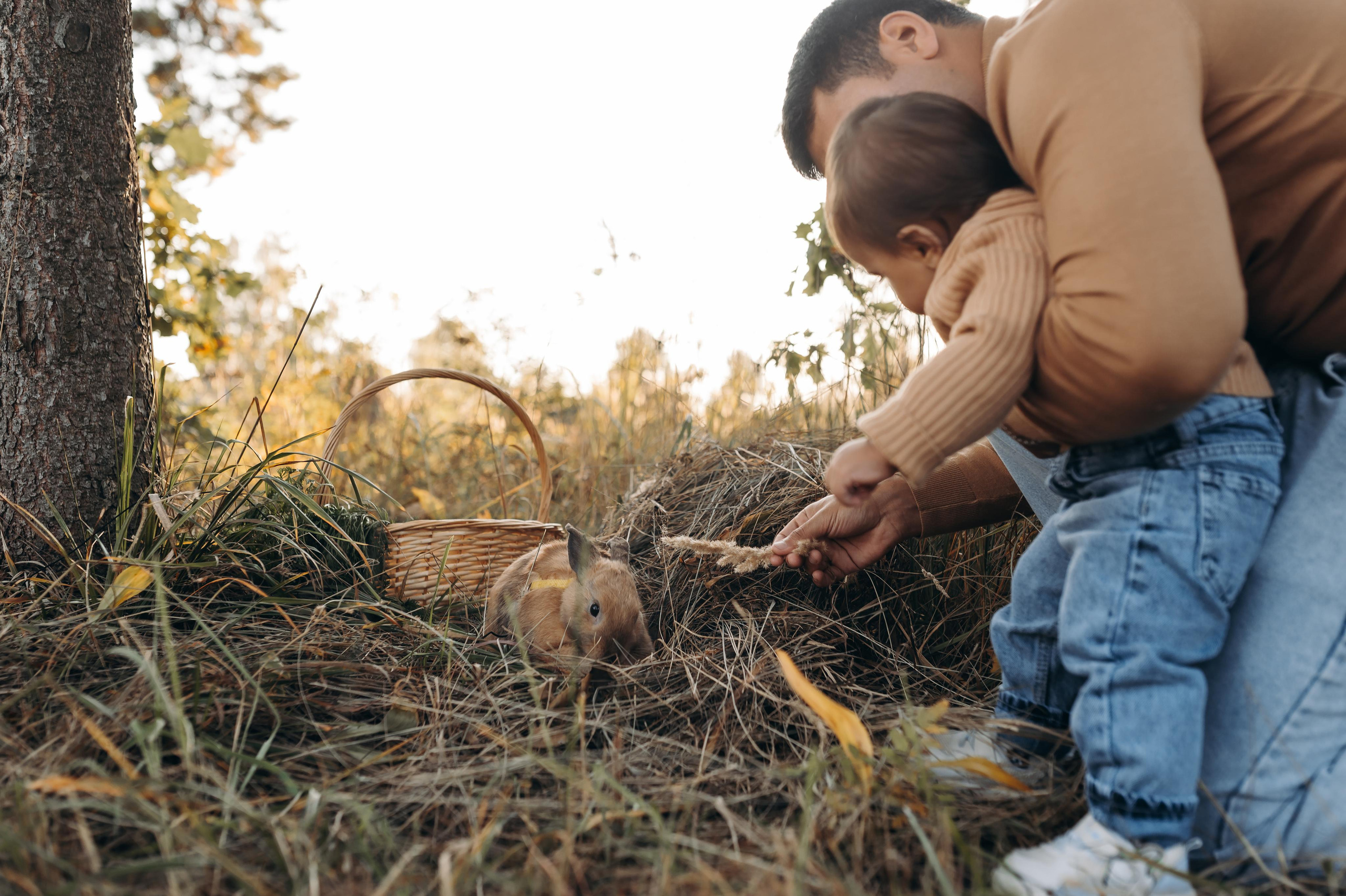 Теплый сентябрь. Главная