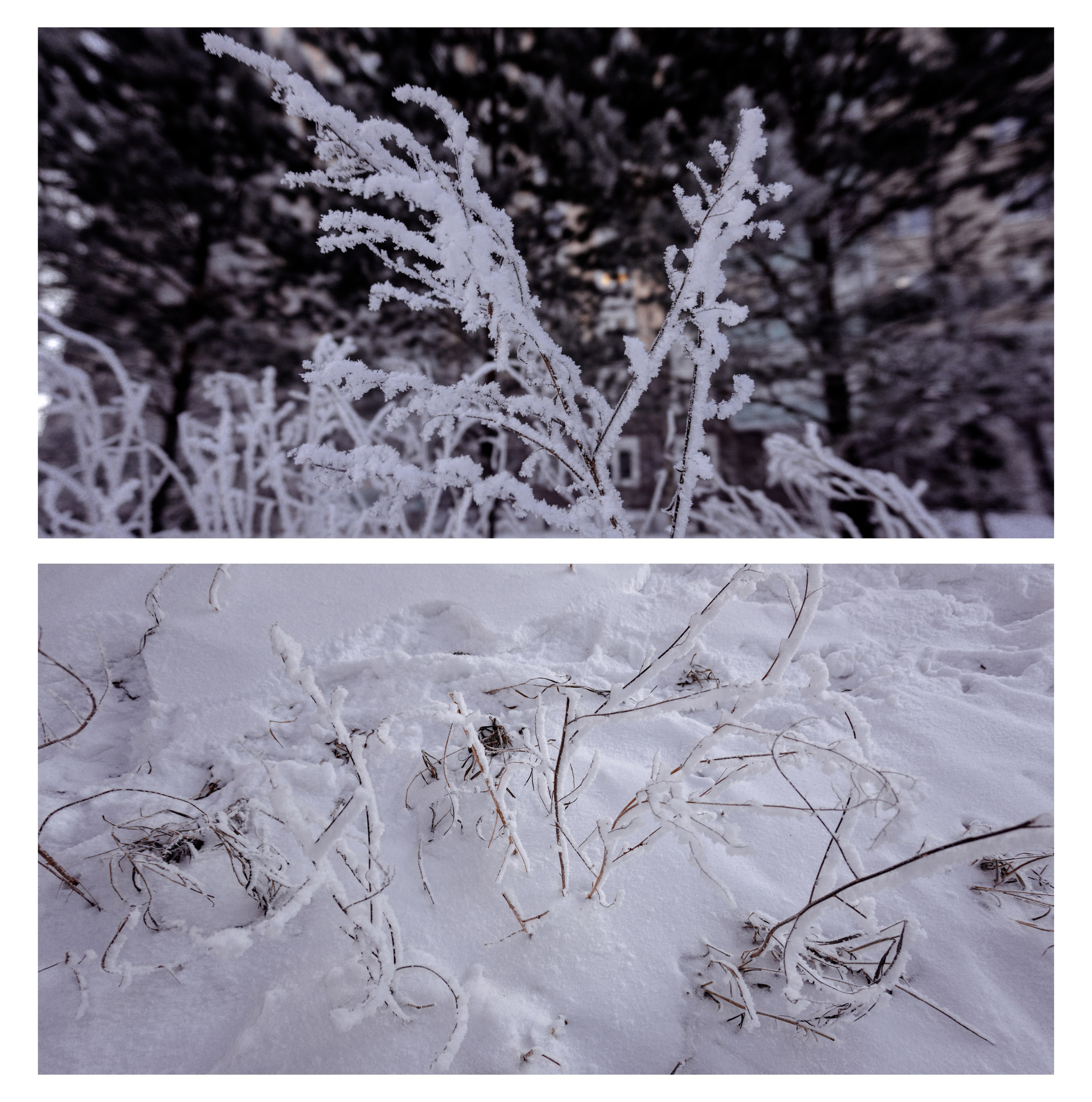 30.12.2025 | Сосновоборс. Kuznetsov | Фотограф в Красноярске