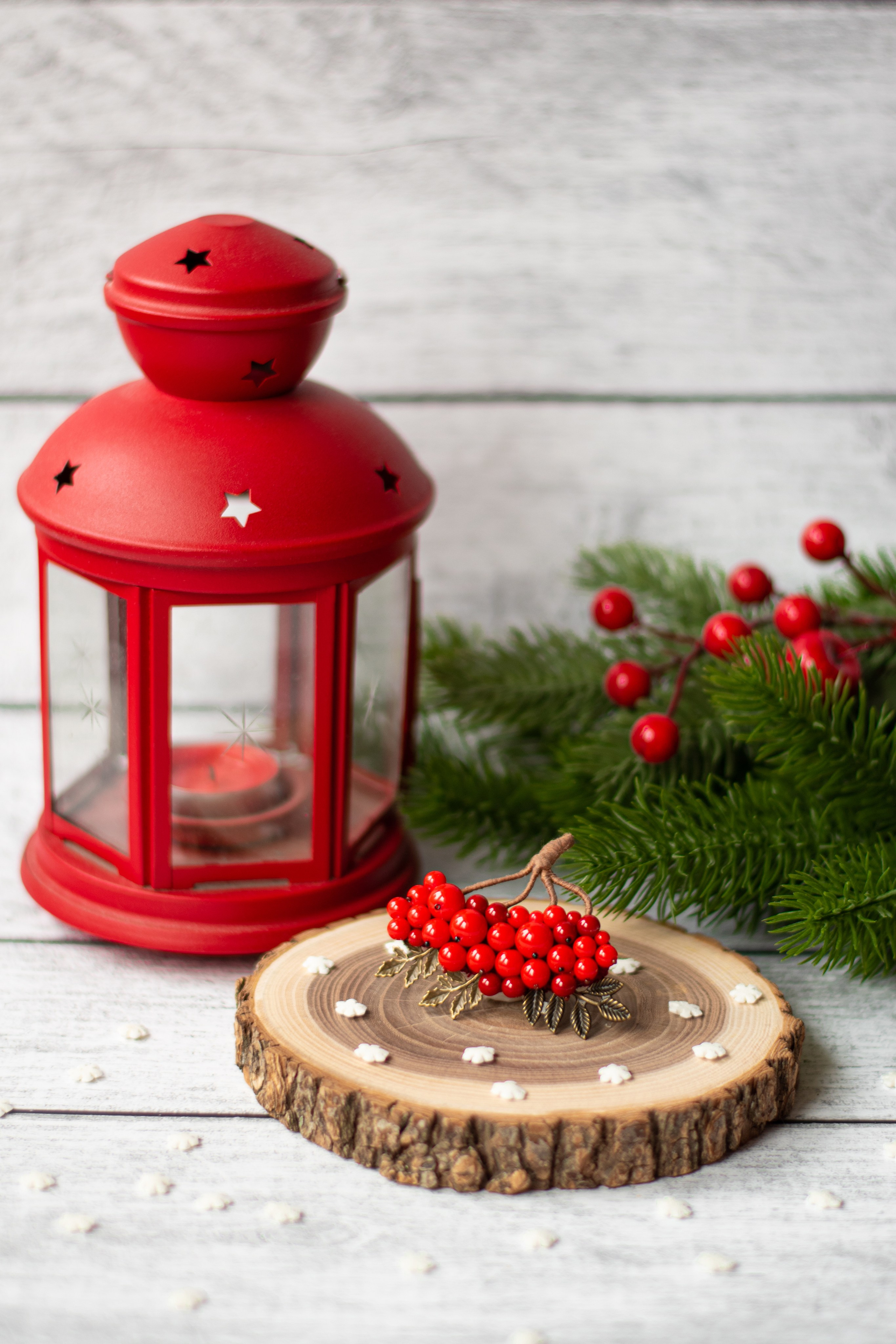 Броши ручной работы «Рябина». Фотограф Санкт-Петербург | Дарья Першина