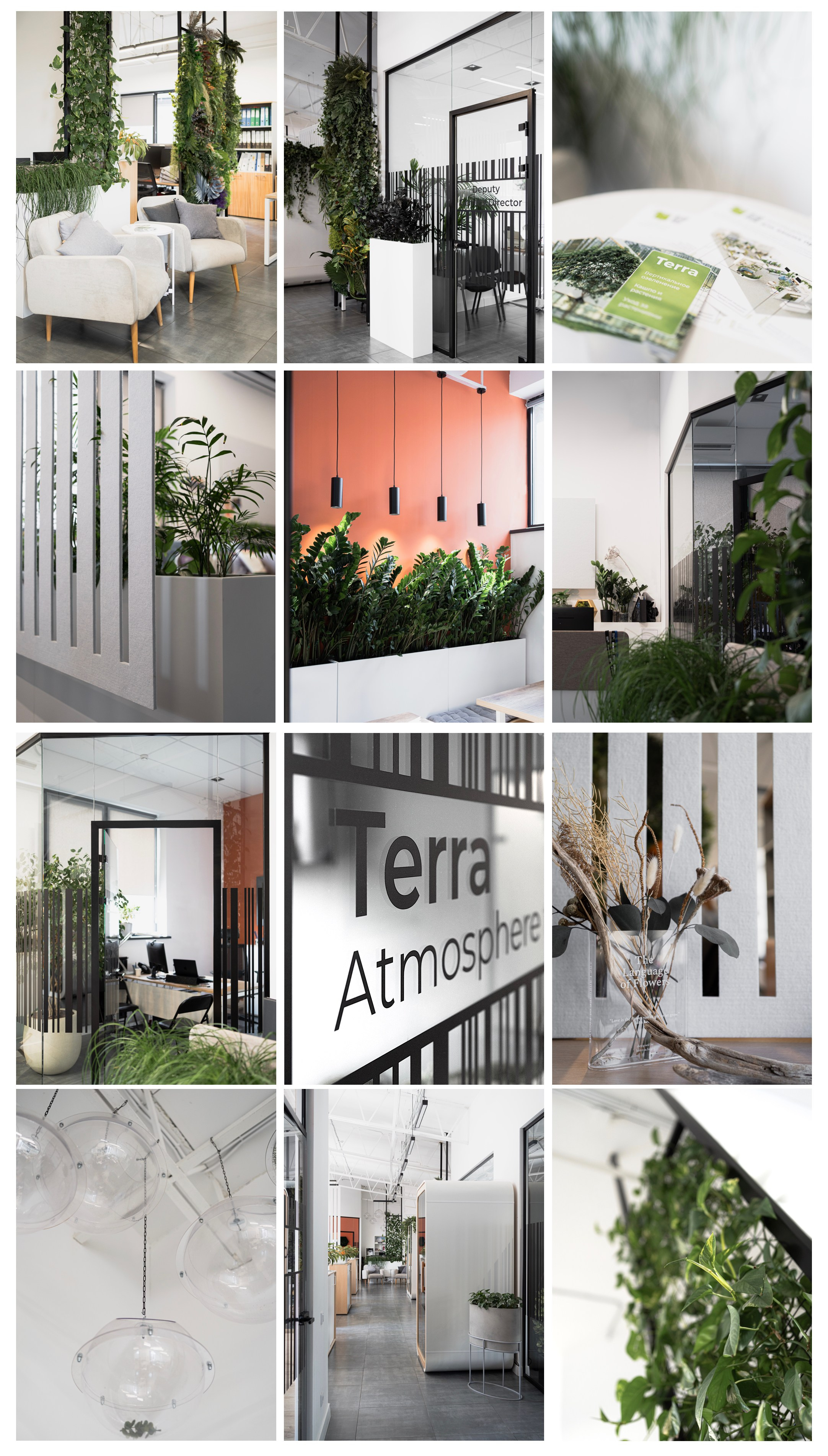 Terra. Елена Пашкевич, фотограф, Москва