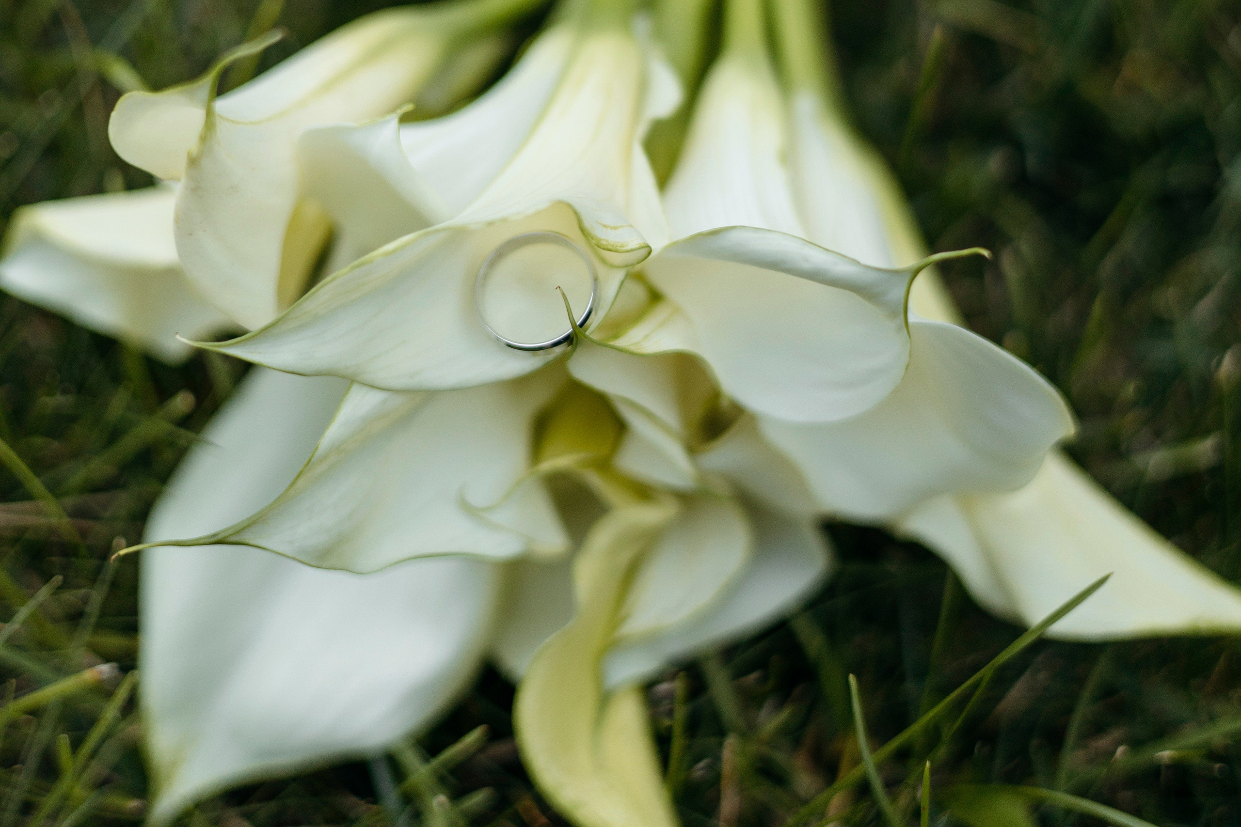 Евгений и Виктория. Nikolpinhasova