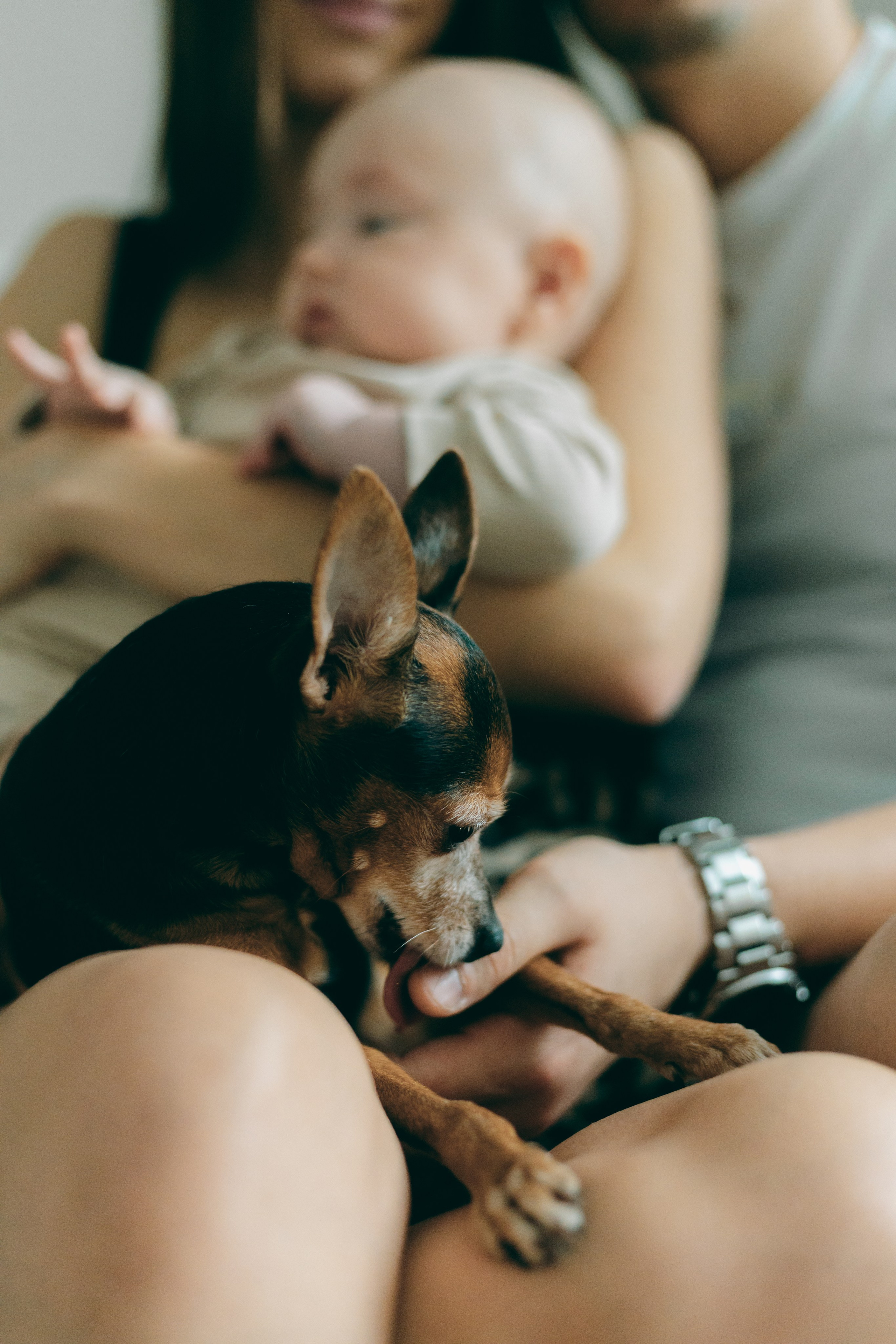 Дома. Фотограф в Санкт-Петербурге Виктория Безверхая