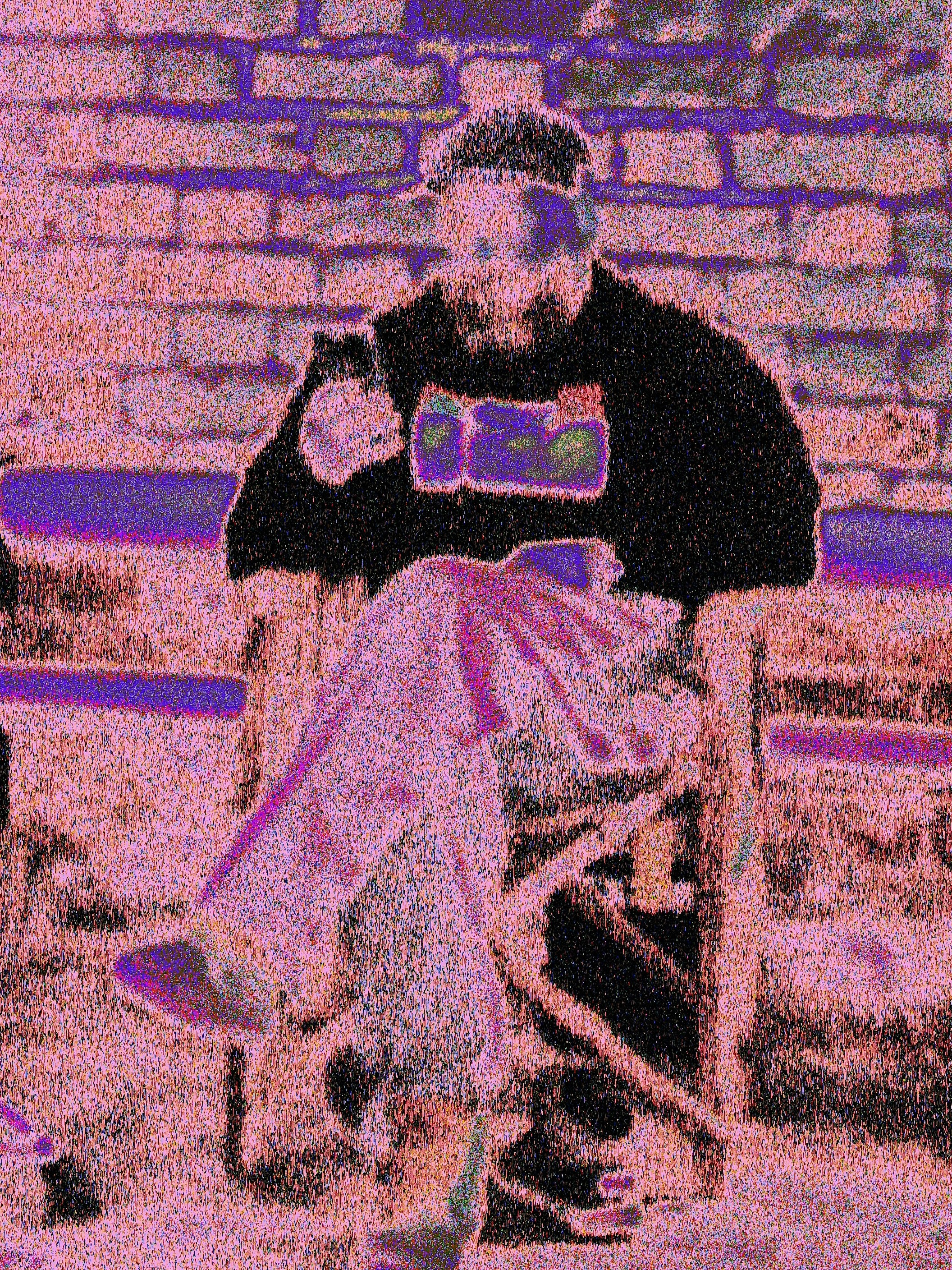 Fragmented Self. Glitch Artist Dmitriy Fayvilovich