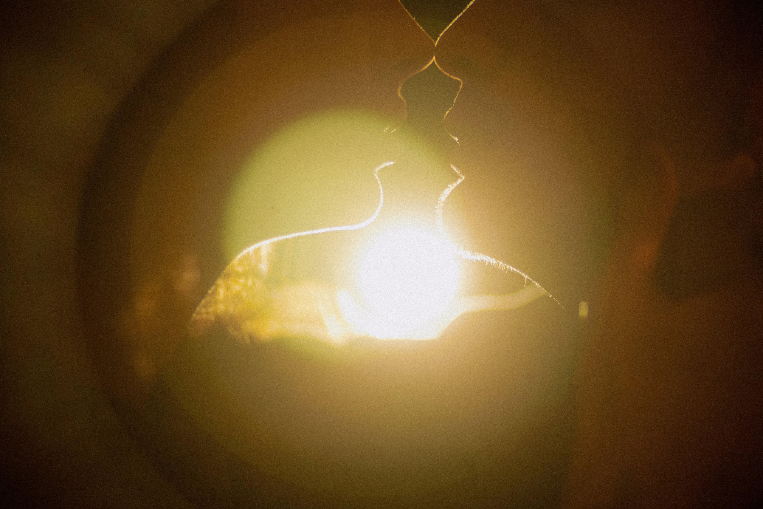 Кристина и Беслан. Свадебный и семейный фотограф в Кирове, Малых Никита