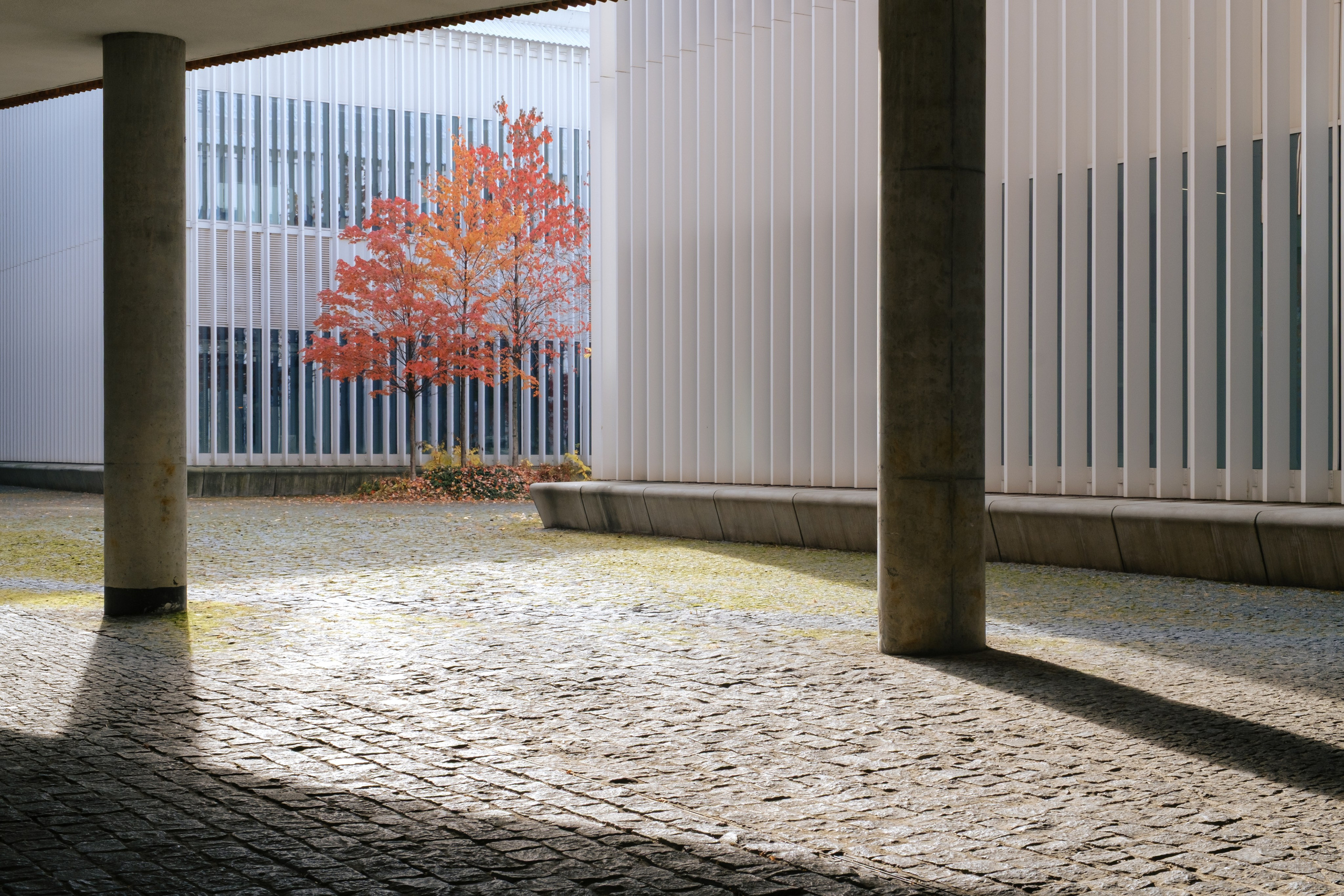 Сколтех, 2025. Фотограф и исследователь городской среды Ксения Русс