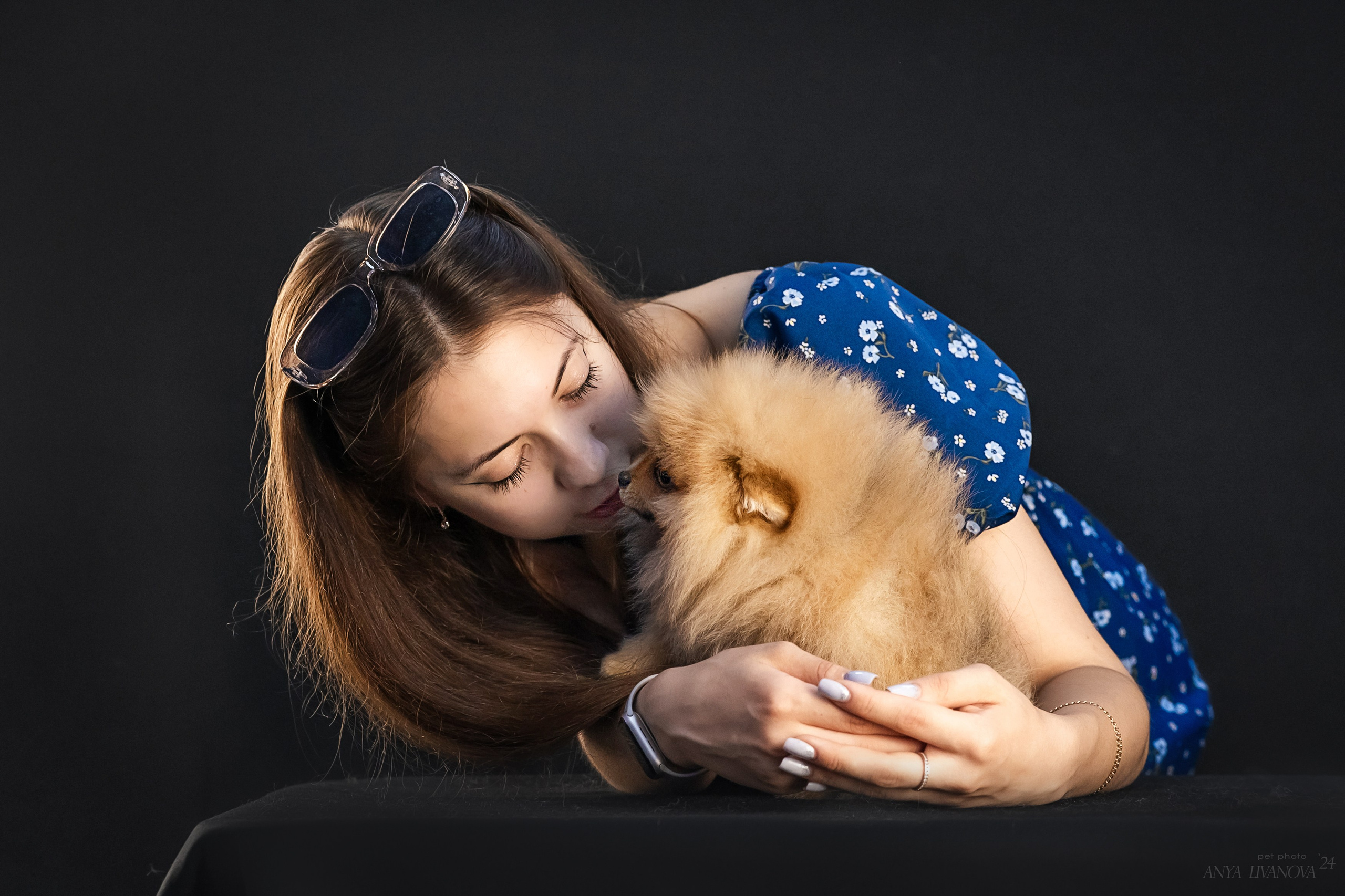 Шпицы. Фотограф анималист Аня Ливанова | Рыбинск