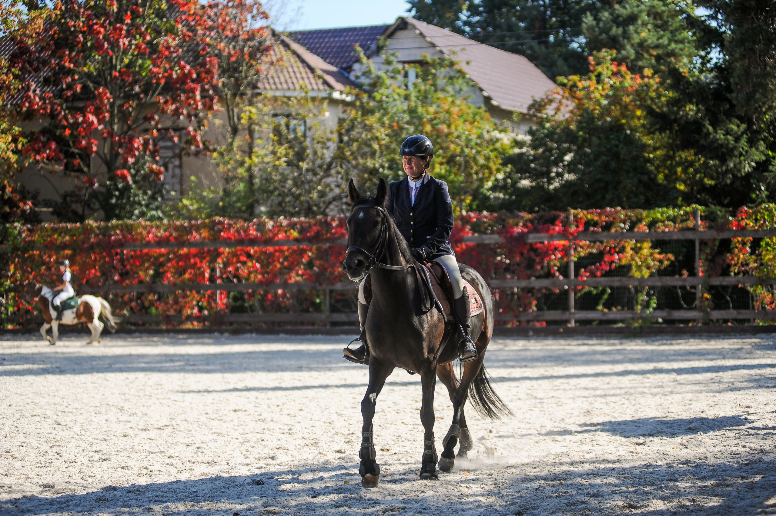 Конкур в конном клубе, репортаж Москва. Фотограф, визажист. Москва