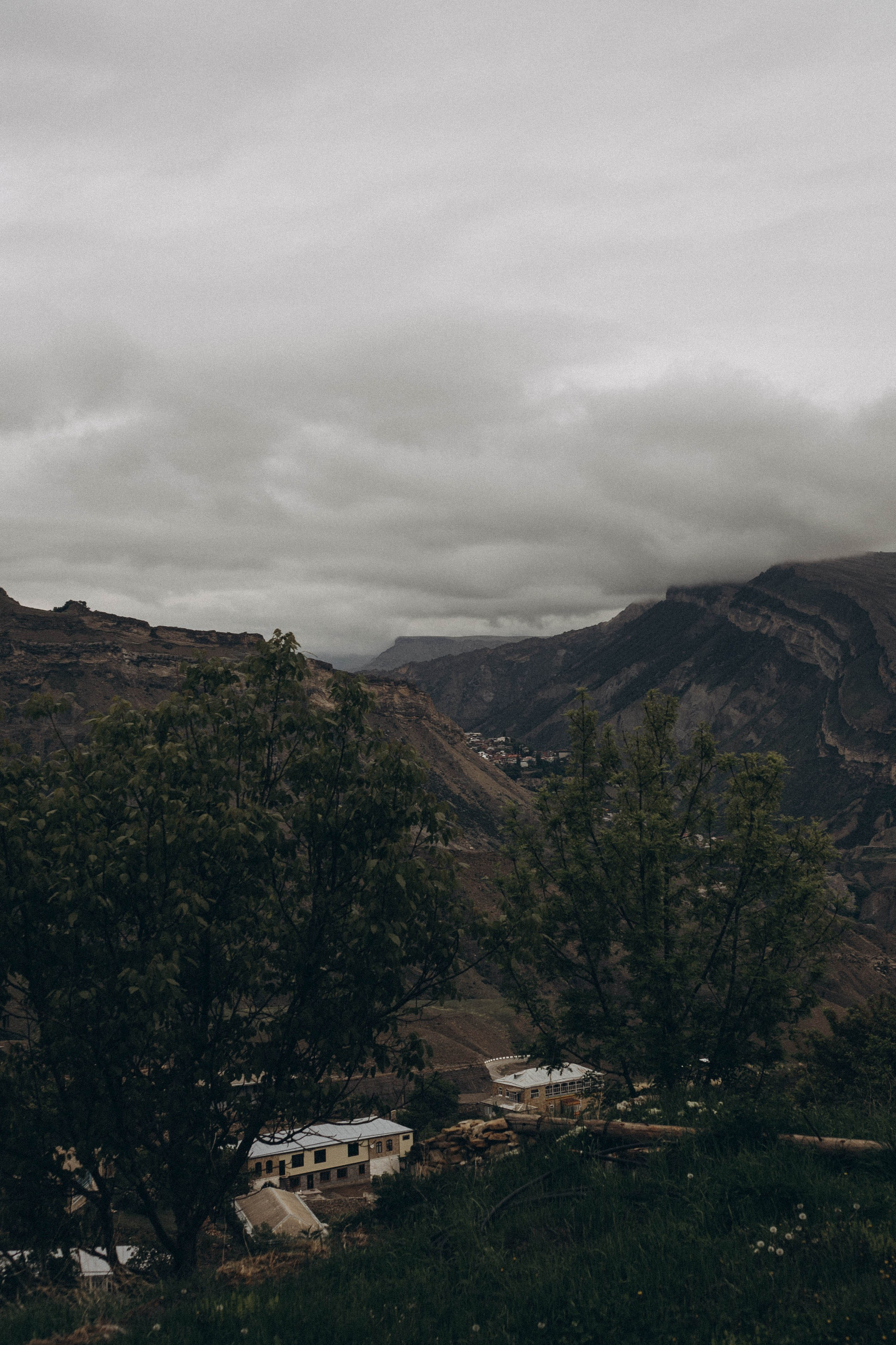 Кавказ. Профессиональный фотограф, Санкт-Петербург — Виктория Богомолова