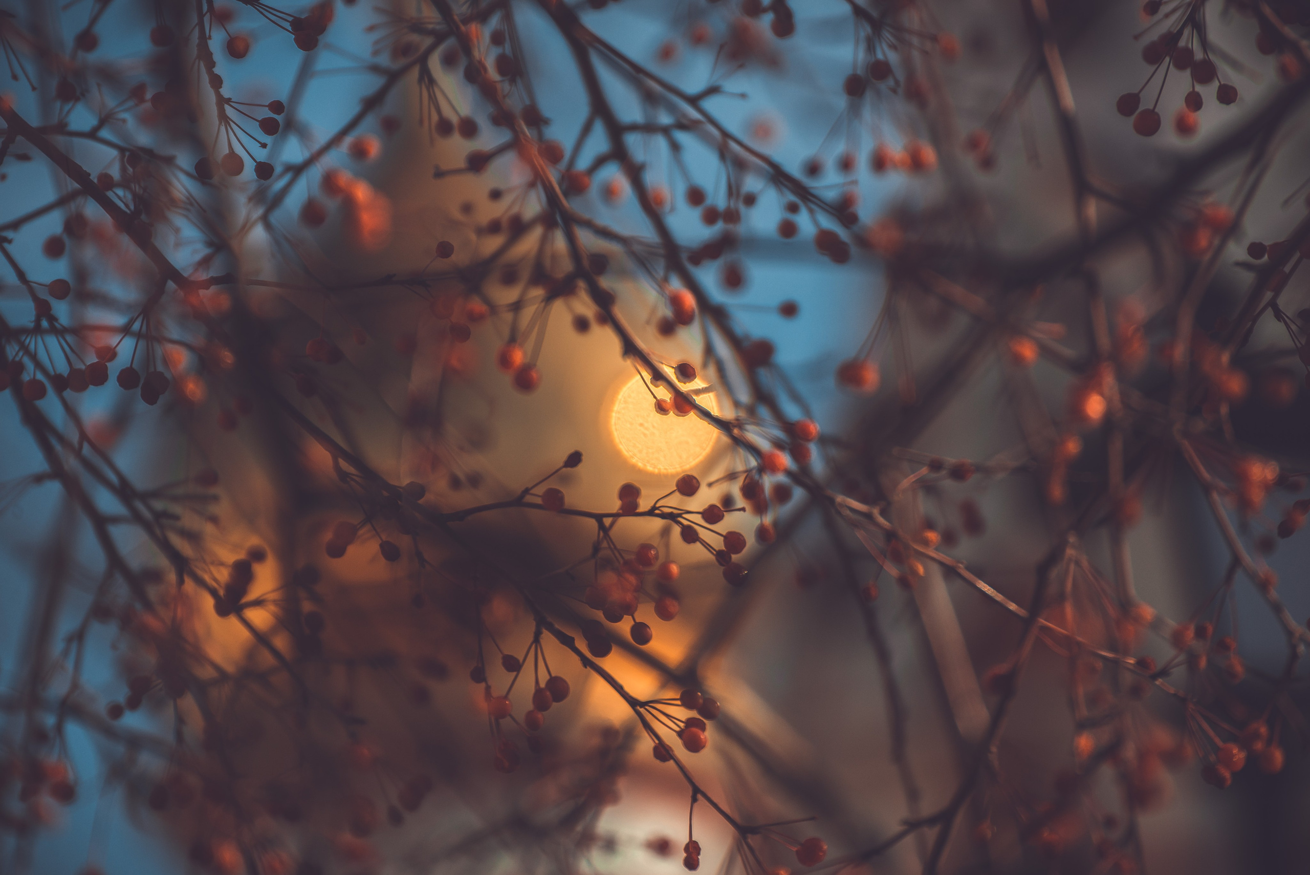 Таинство Крещения. Профессиональный фотограф Церковных Таинств в Чите Ткачук Юлия