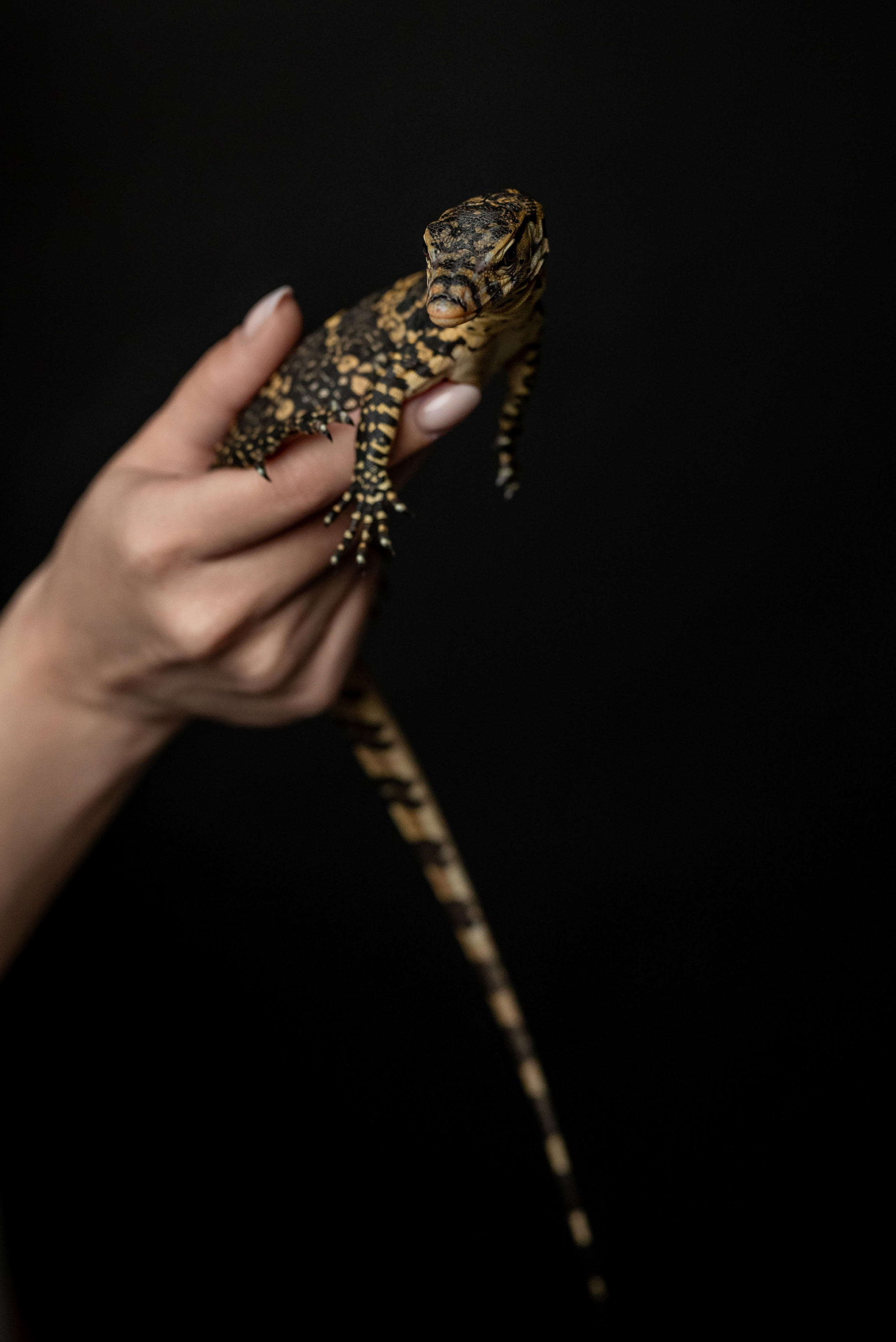 Кристина. Фотограф в городе Салават