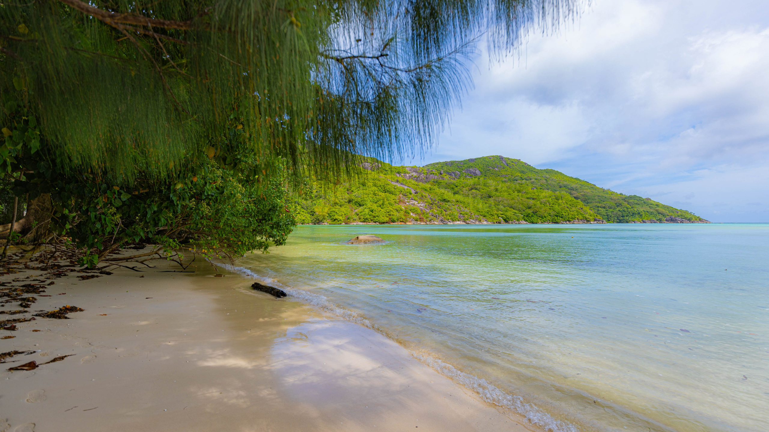 2025 07 Сейшелы (Маэ). Фотографии