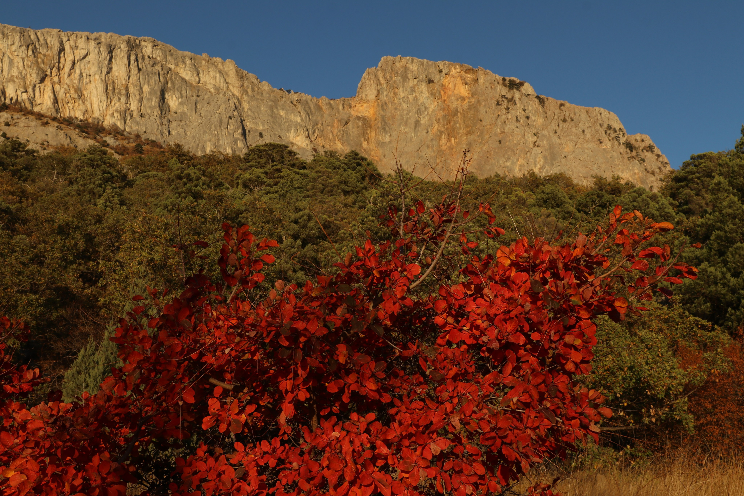 Крым. ЮБК (Гурзуф, Судак и их окрестности). Ноябрь 2023. Путешественник-фотограф из Санкт-Петербурга Татьяна Свистулина